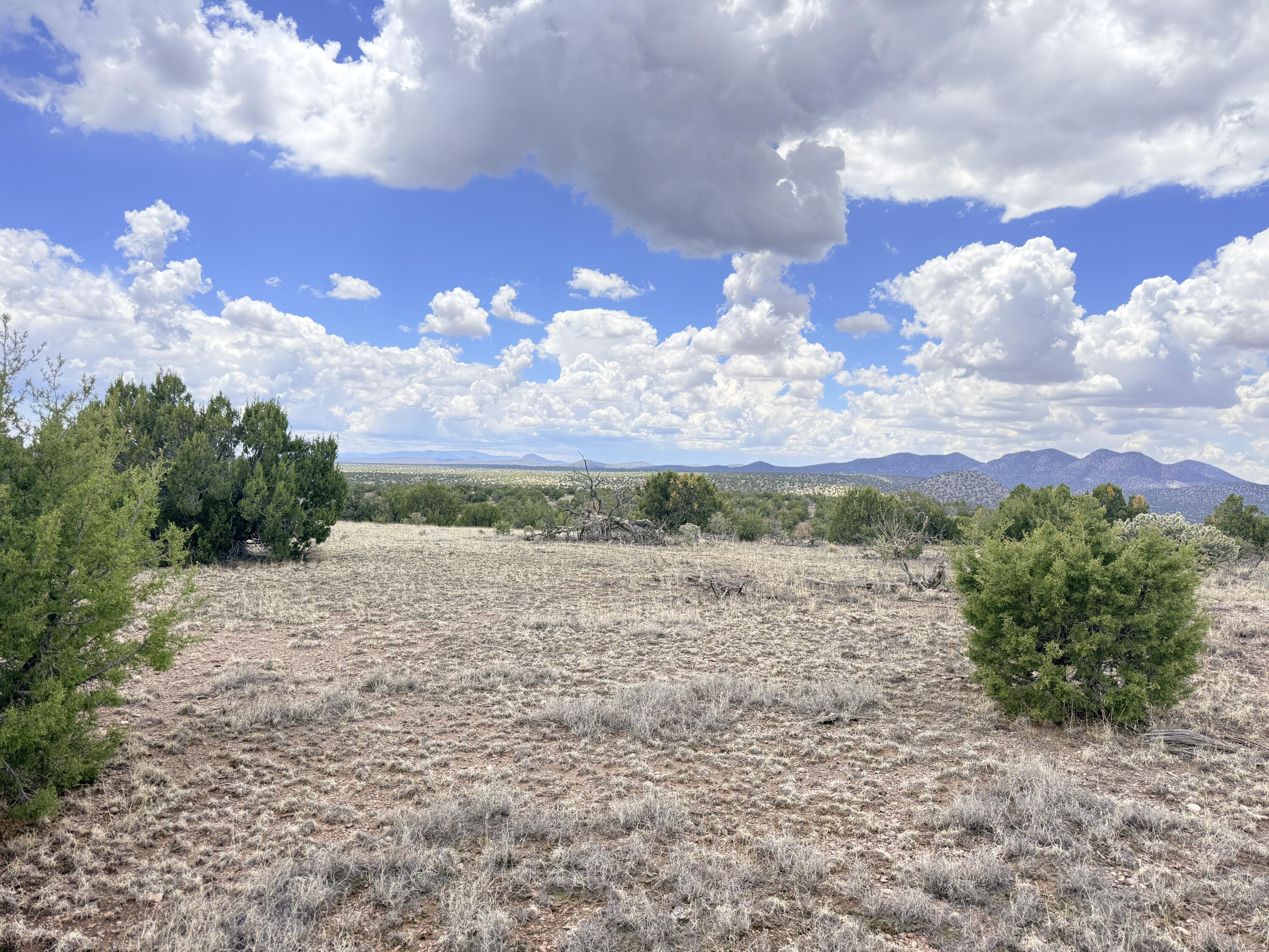 Lot 155 Pinon Springs