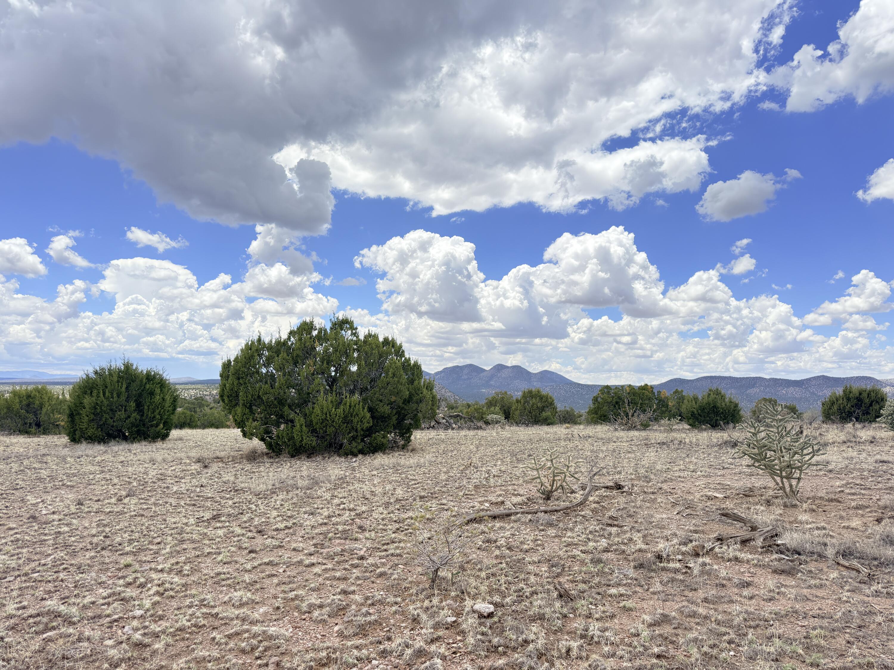 Lot 155 Pinon Springs