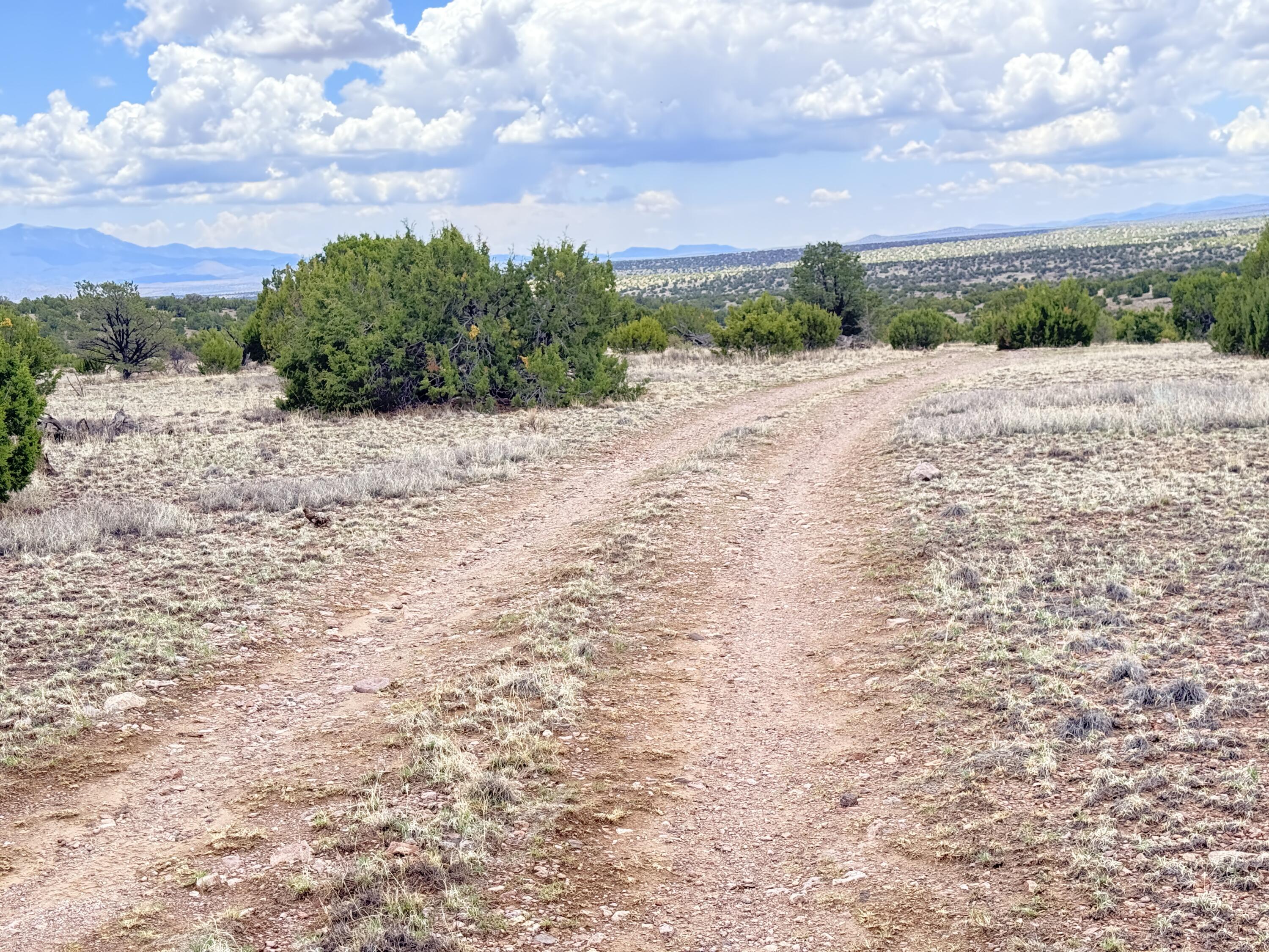 Lot 155 Pinon Springs