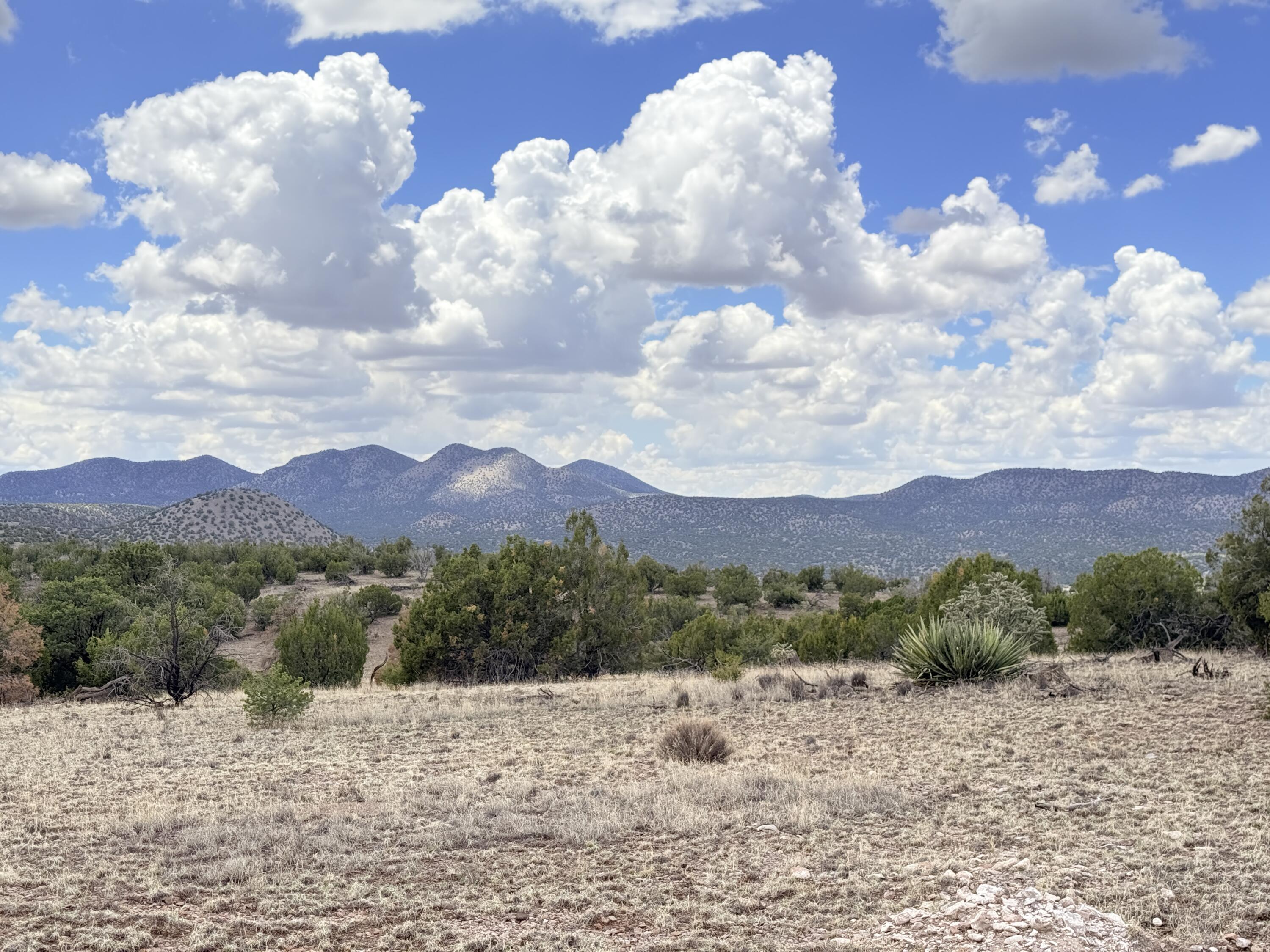 Lot 155 Pinon Springs