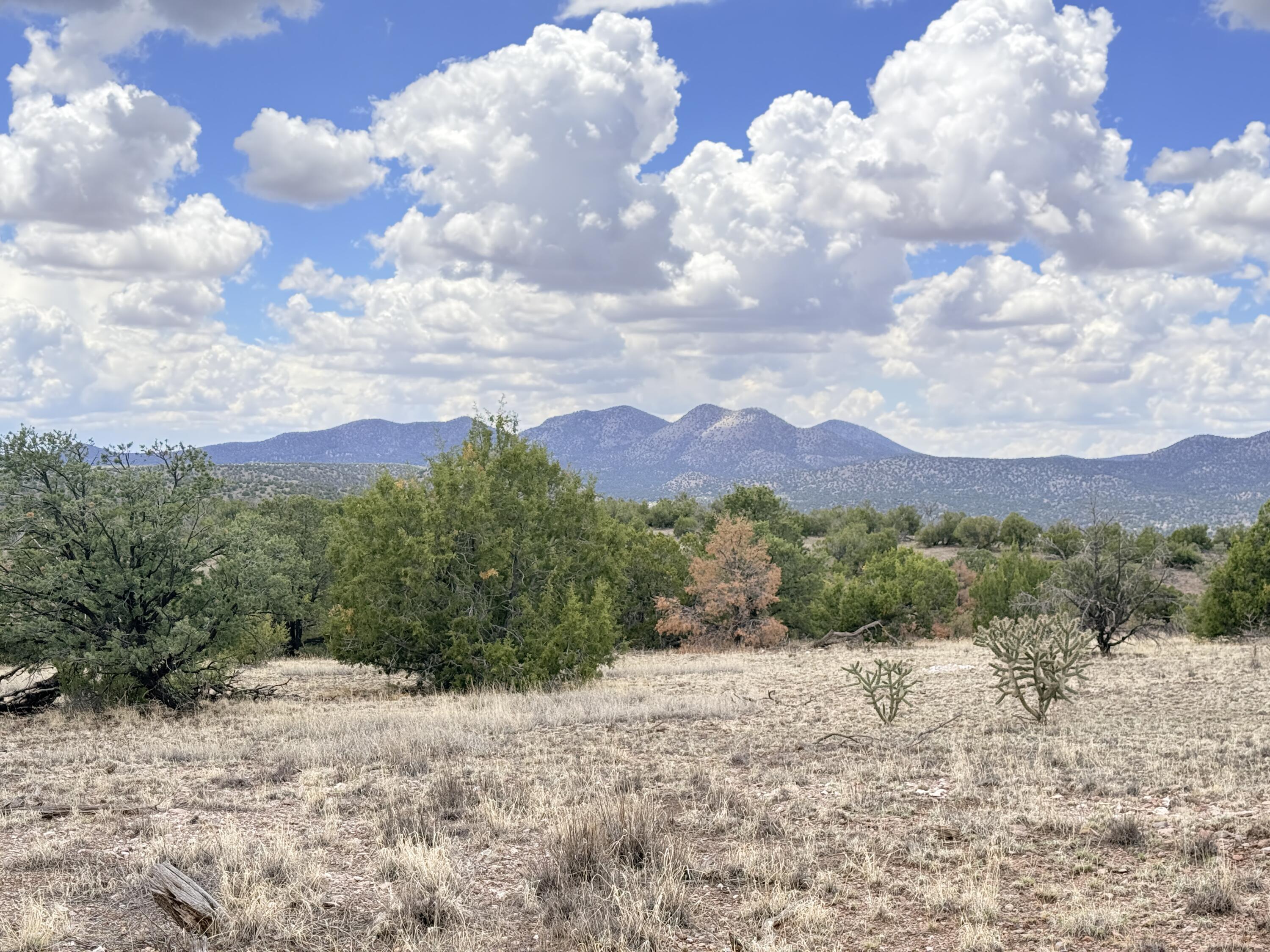 Lot 155 Pinon Springs