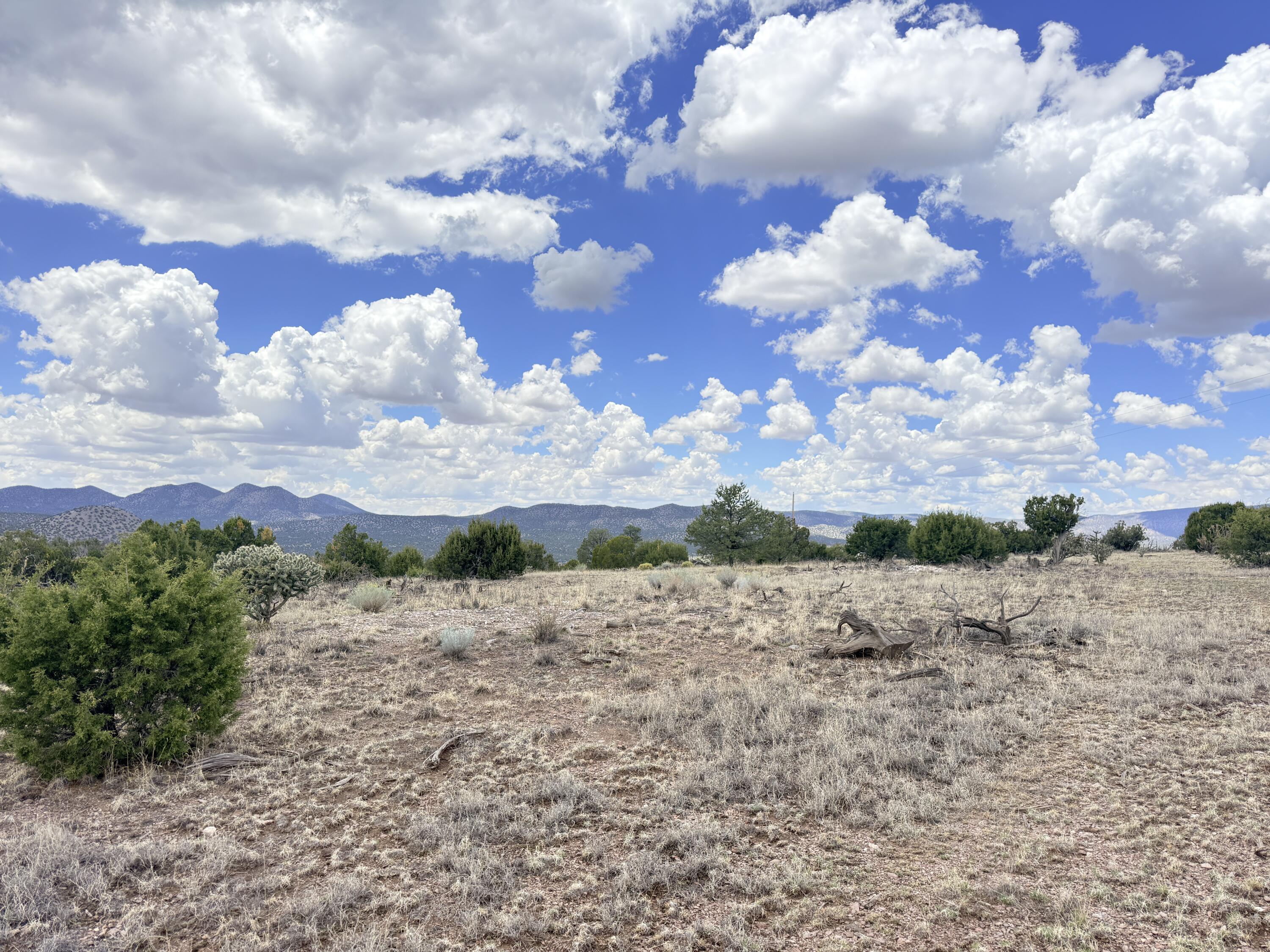 Lot 155 Pinon Springs