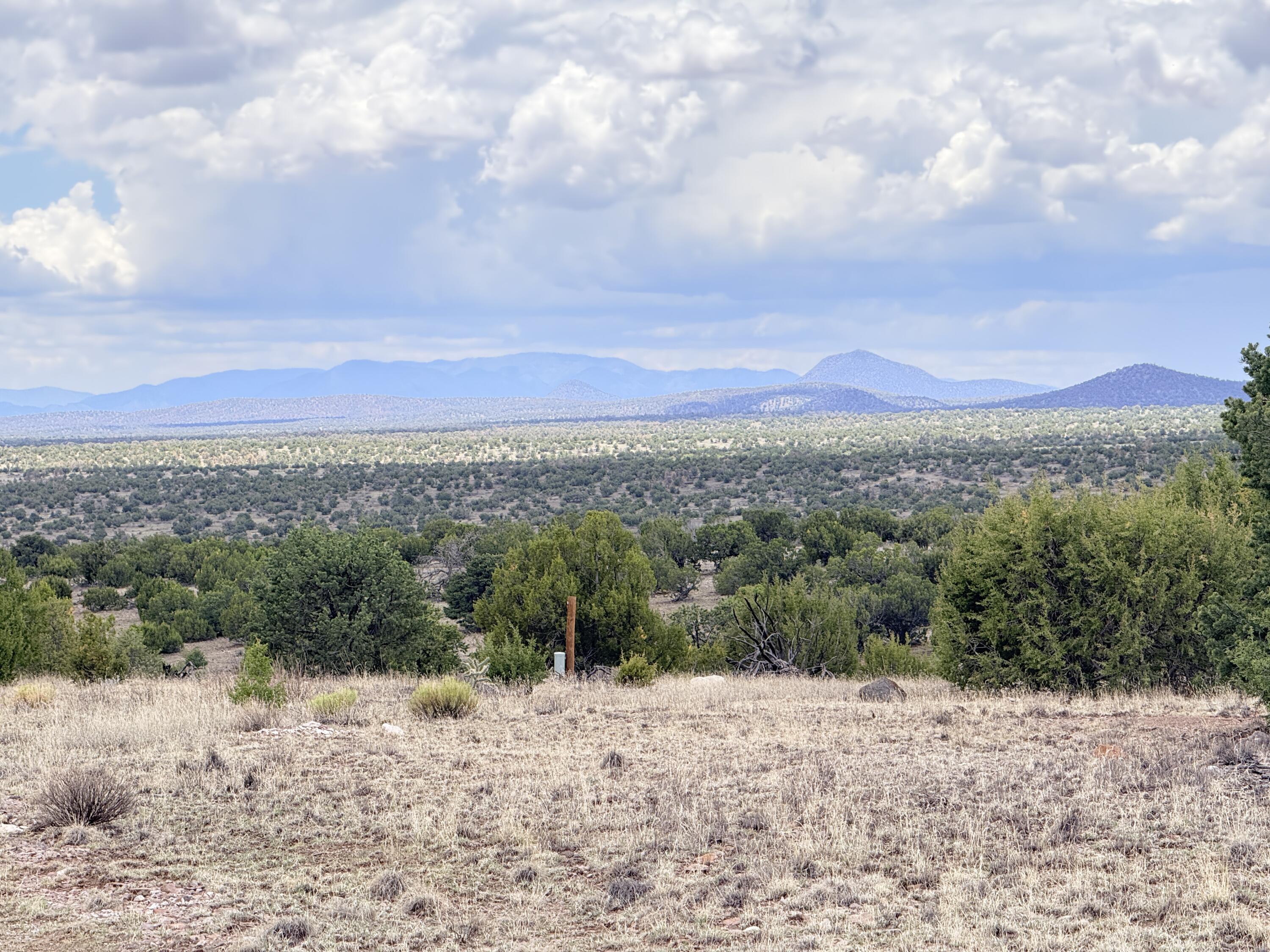 Lot 155 Pinon Springs