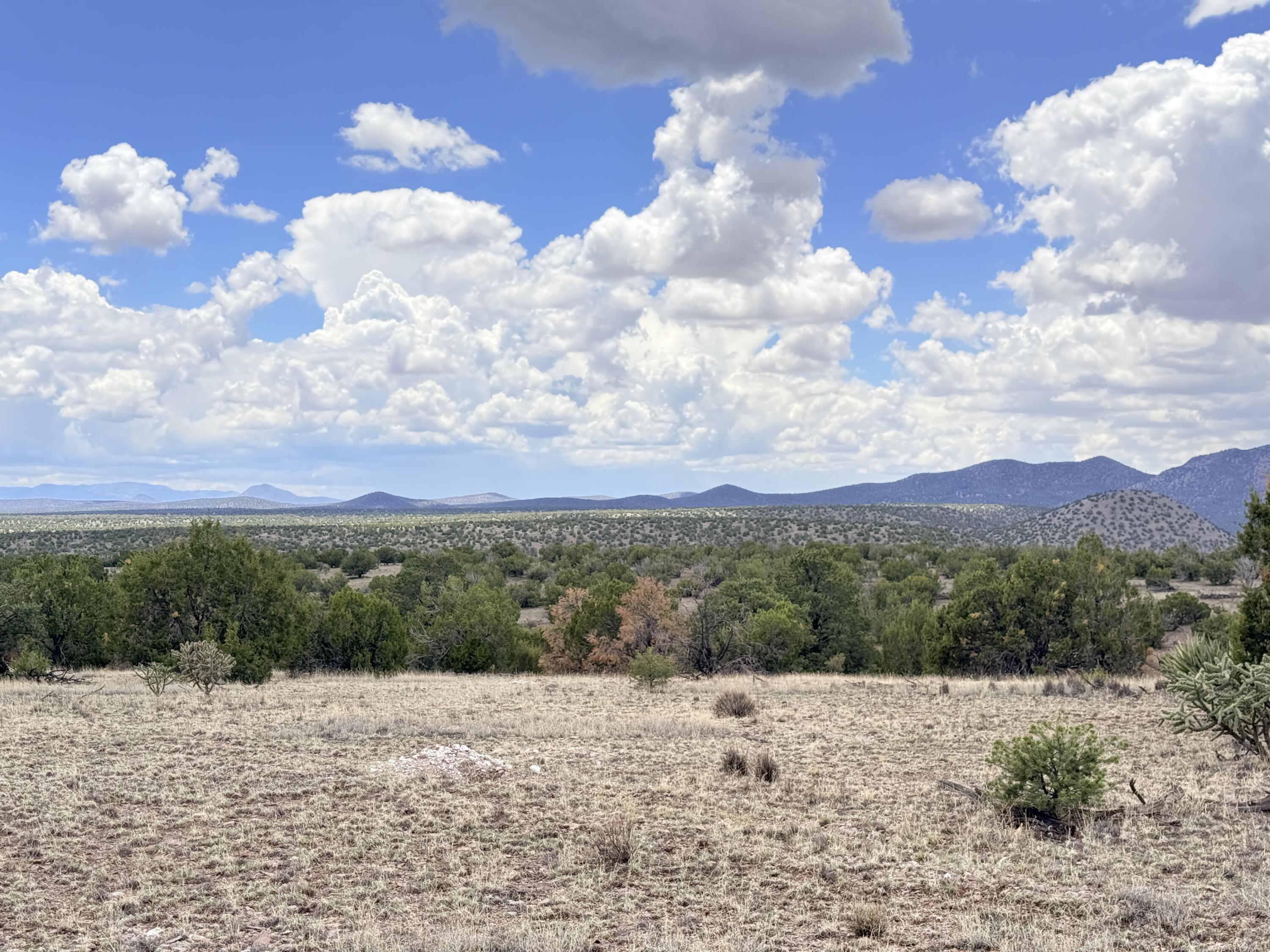 Lot 155 Pinon Springs