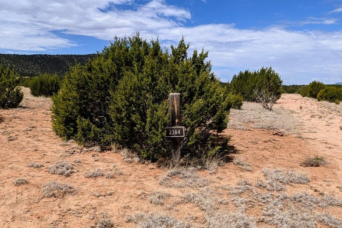 2384 Jumano Trail