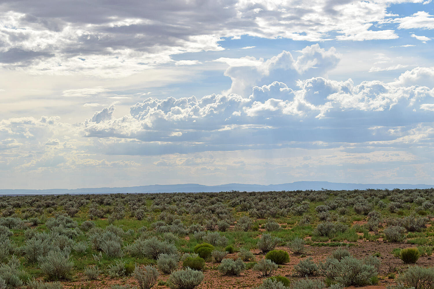Lot 14 Rio Grande Estates 26