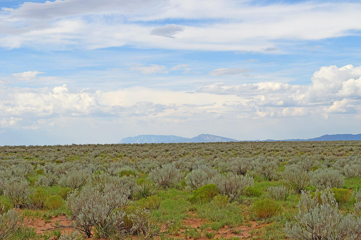 Lot 14 Rio Grande Estates 26