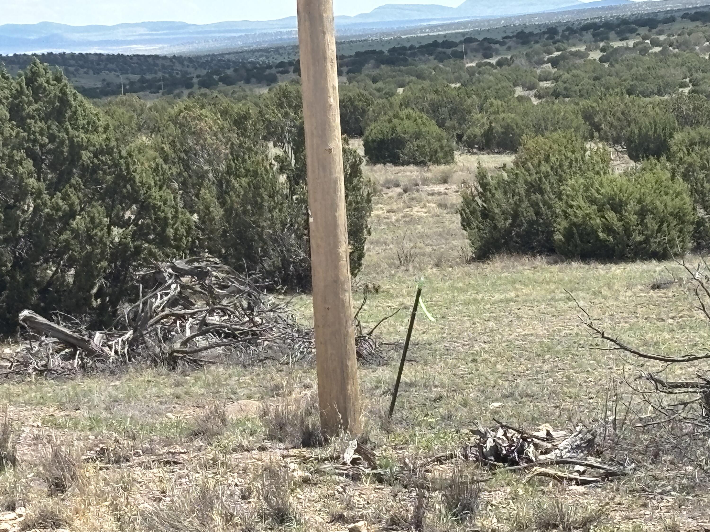 Lot 24 Pinon Springs Road