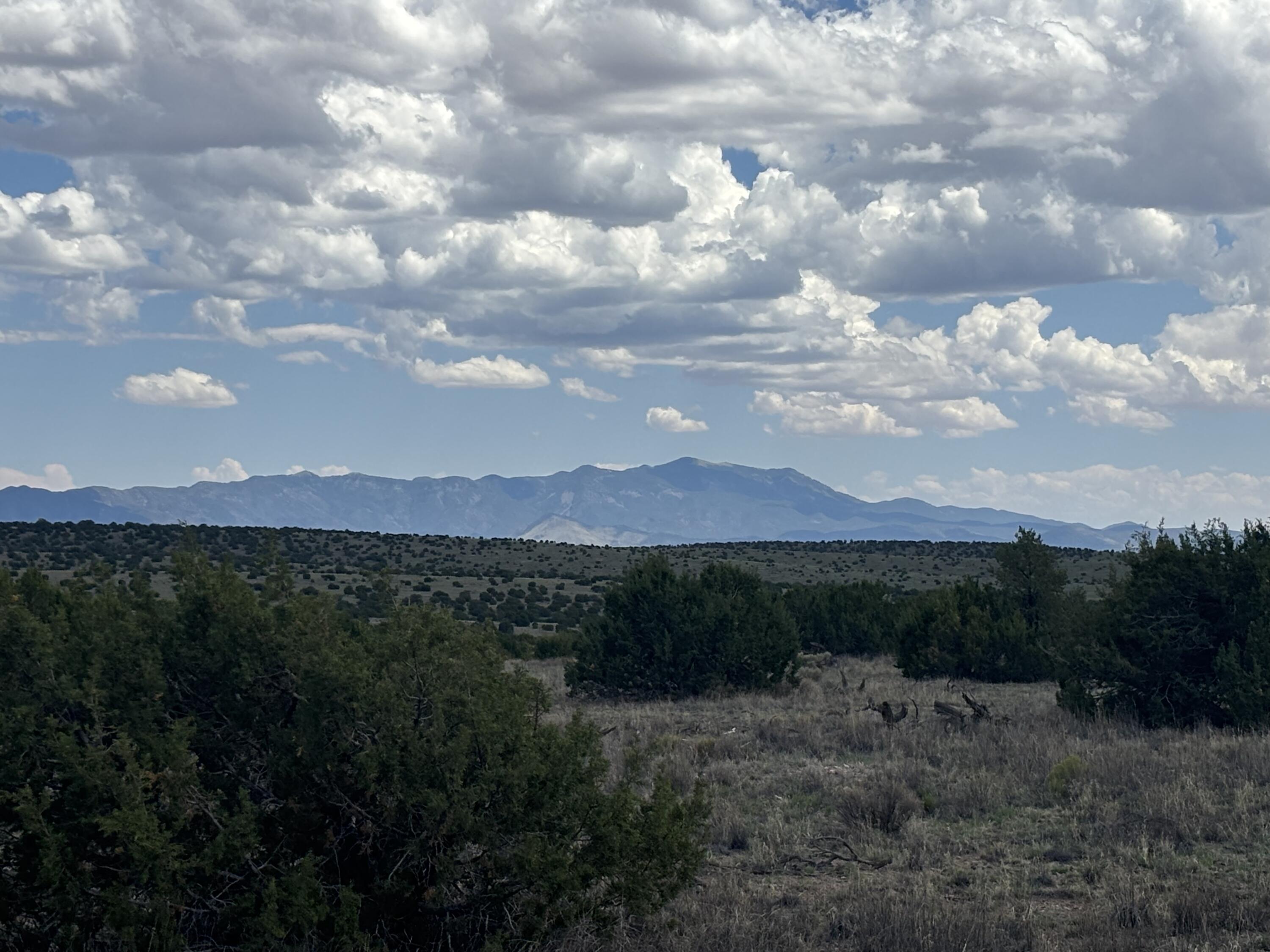 Lot 24 Pinon Springs Road