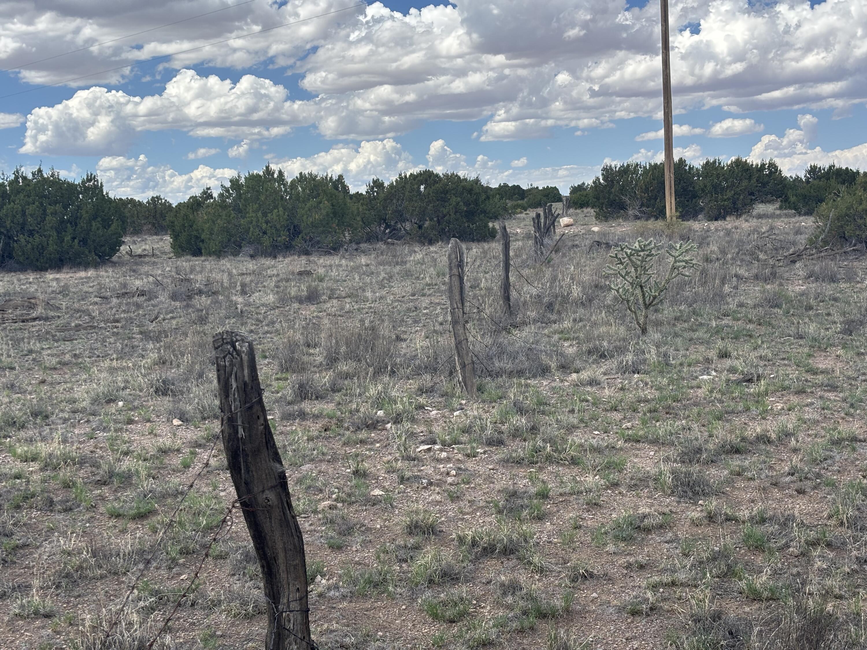 Lot 24 Pinon Springs Road