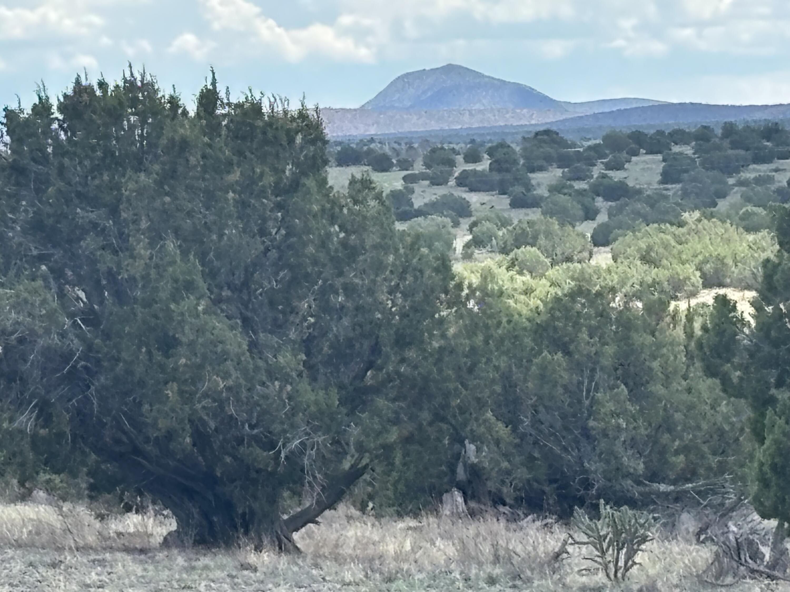 Lot 24 Pinon Springs Road