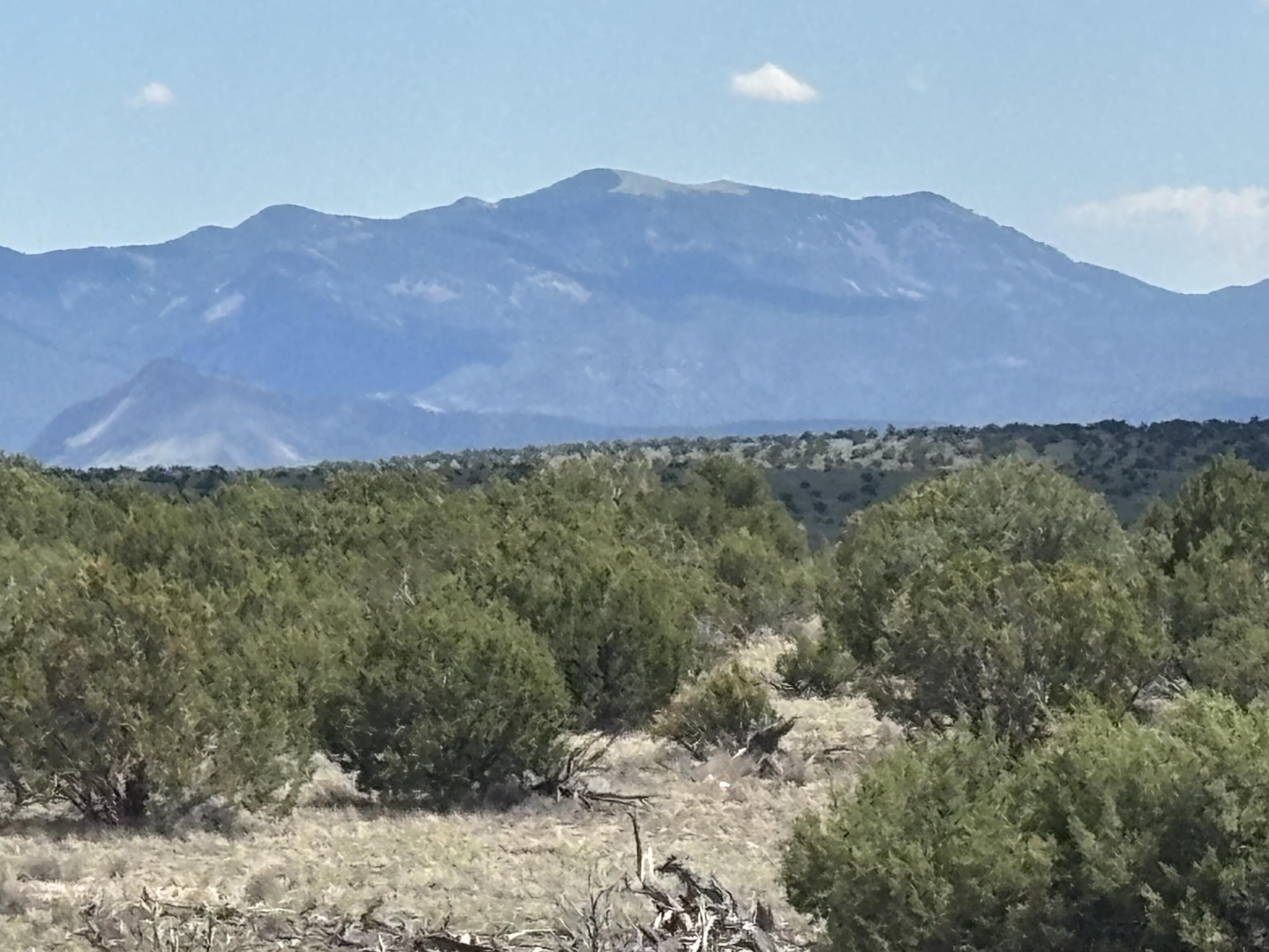 Lot 24 Pinon Springs Road