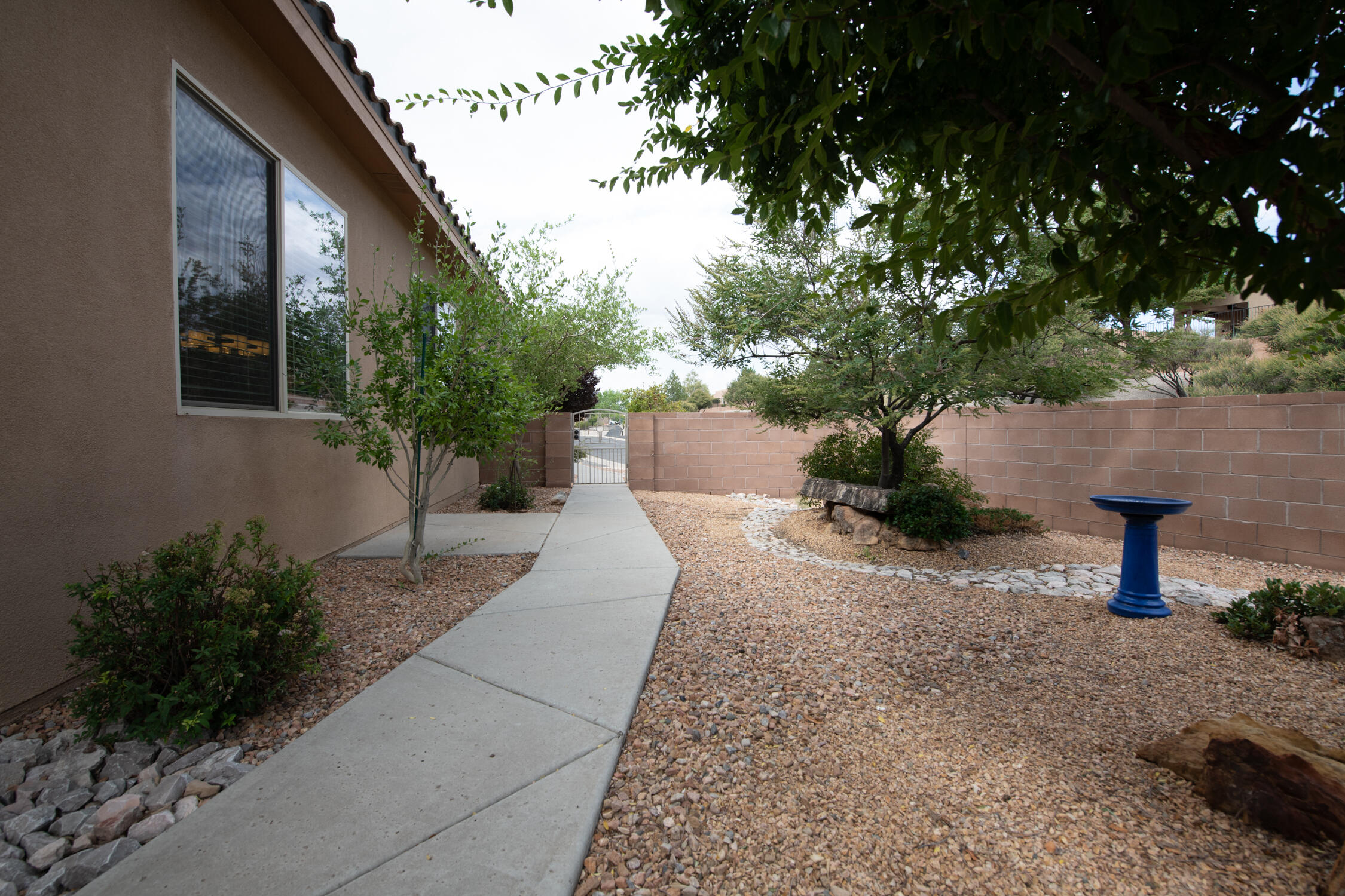 800 Purple Aster Drive