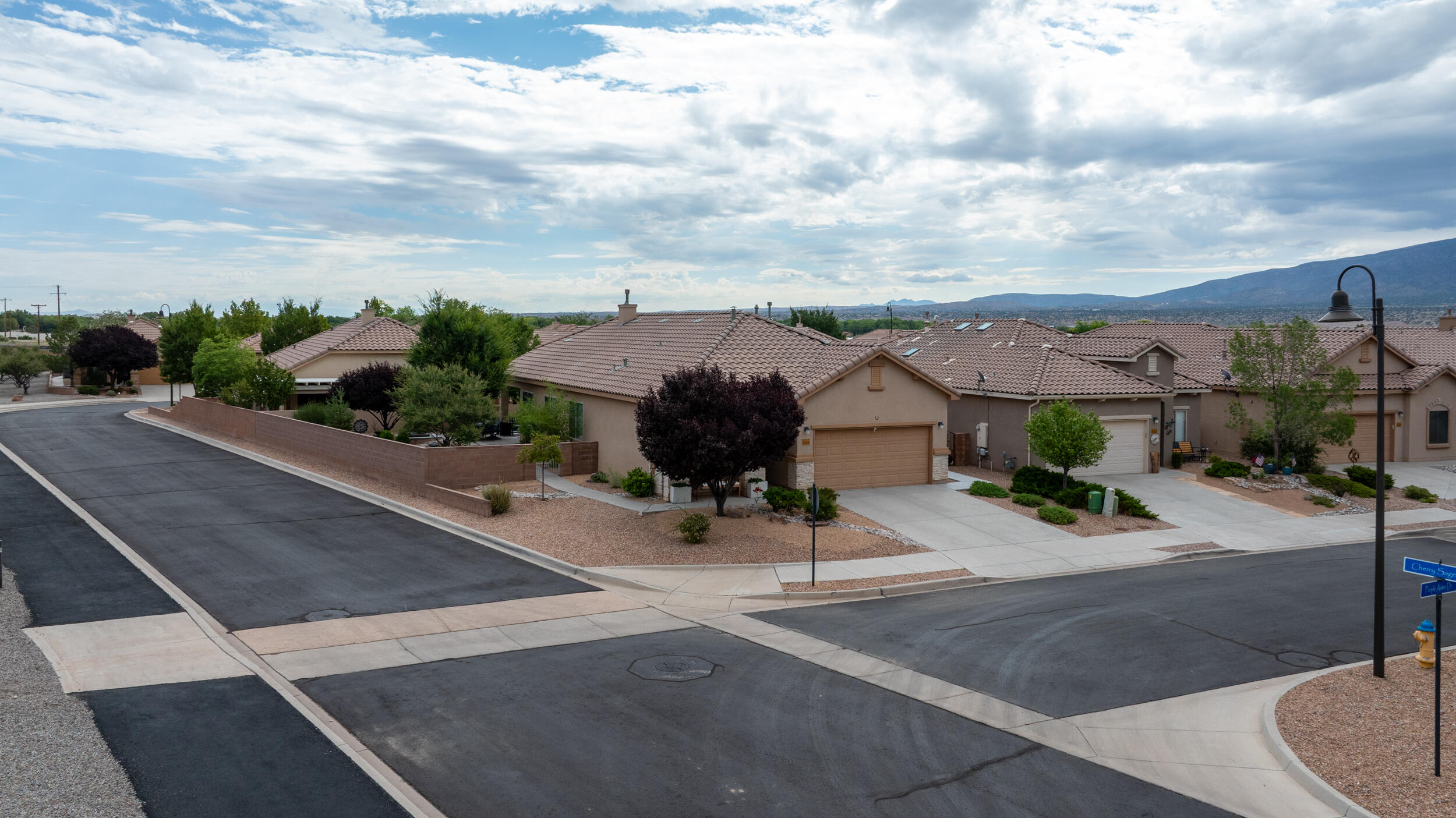 800 Purple Aster Drive