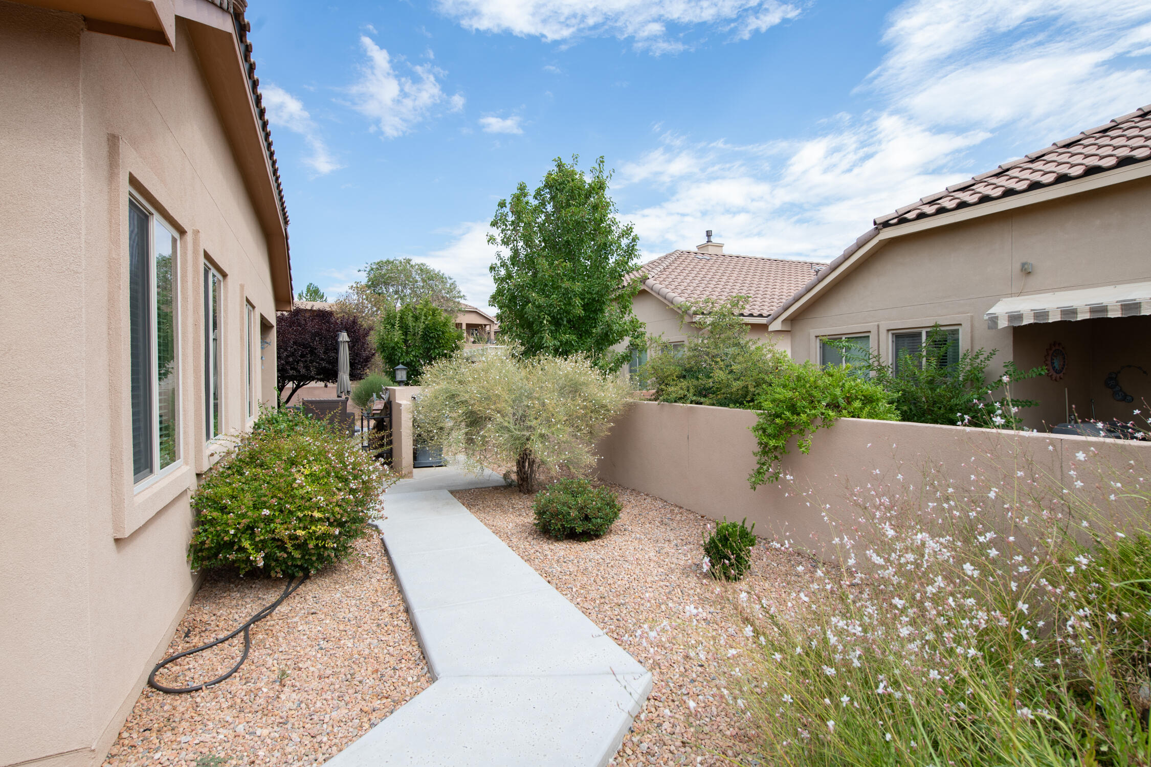 800 Purple Aster Drive