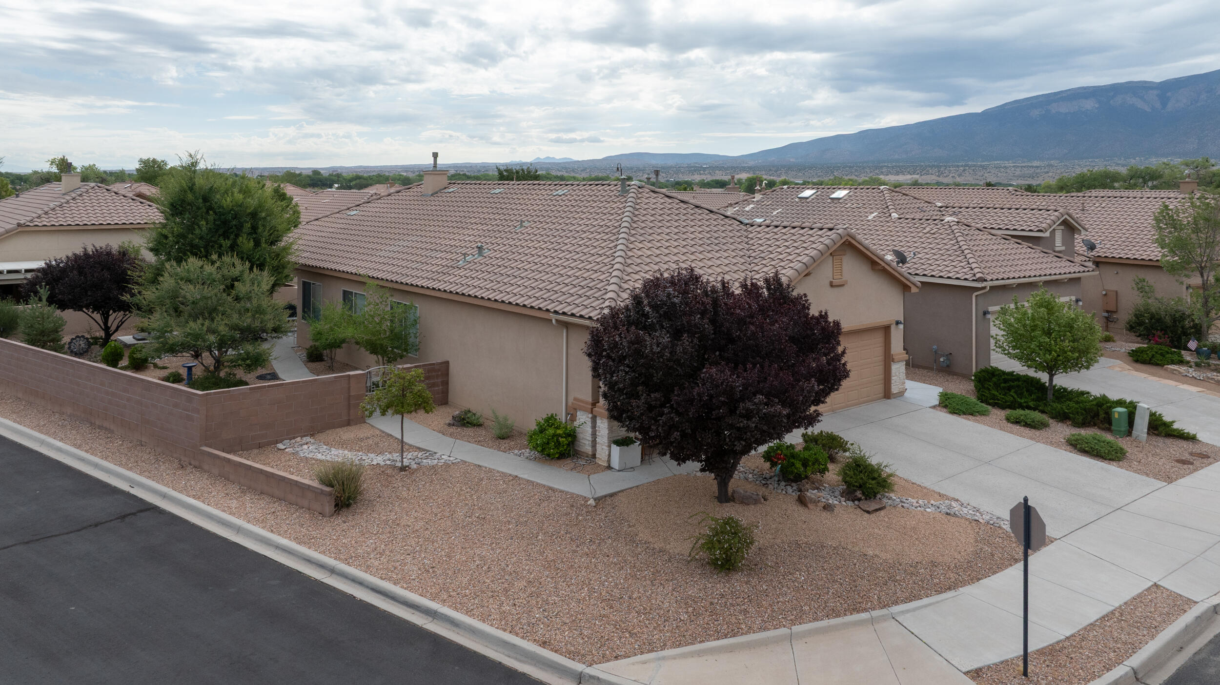800 Purple Aster Drive