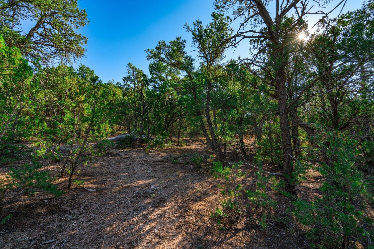 8 Tablazon Valley Drive