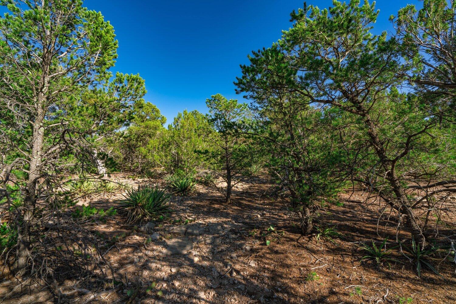8 Tablazon Valley Drive
