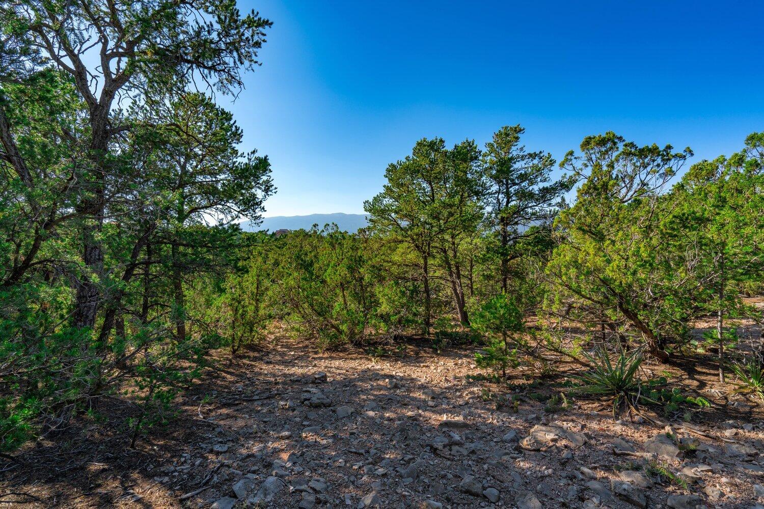 8 Tablazon Valley Drive