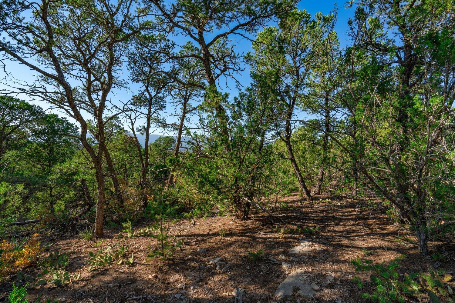 8 Tablazon Valley Drive
