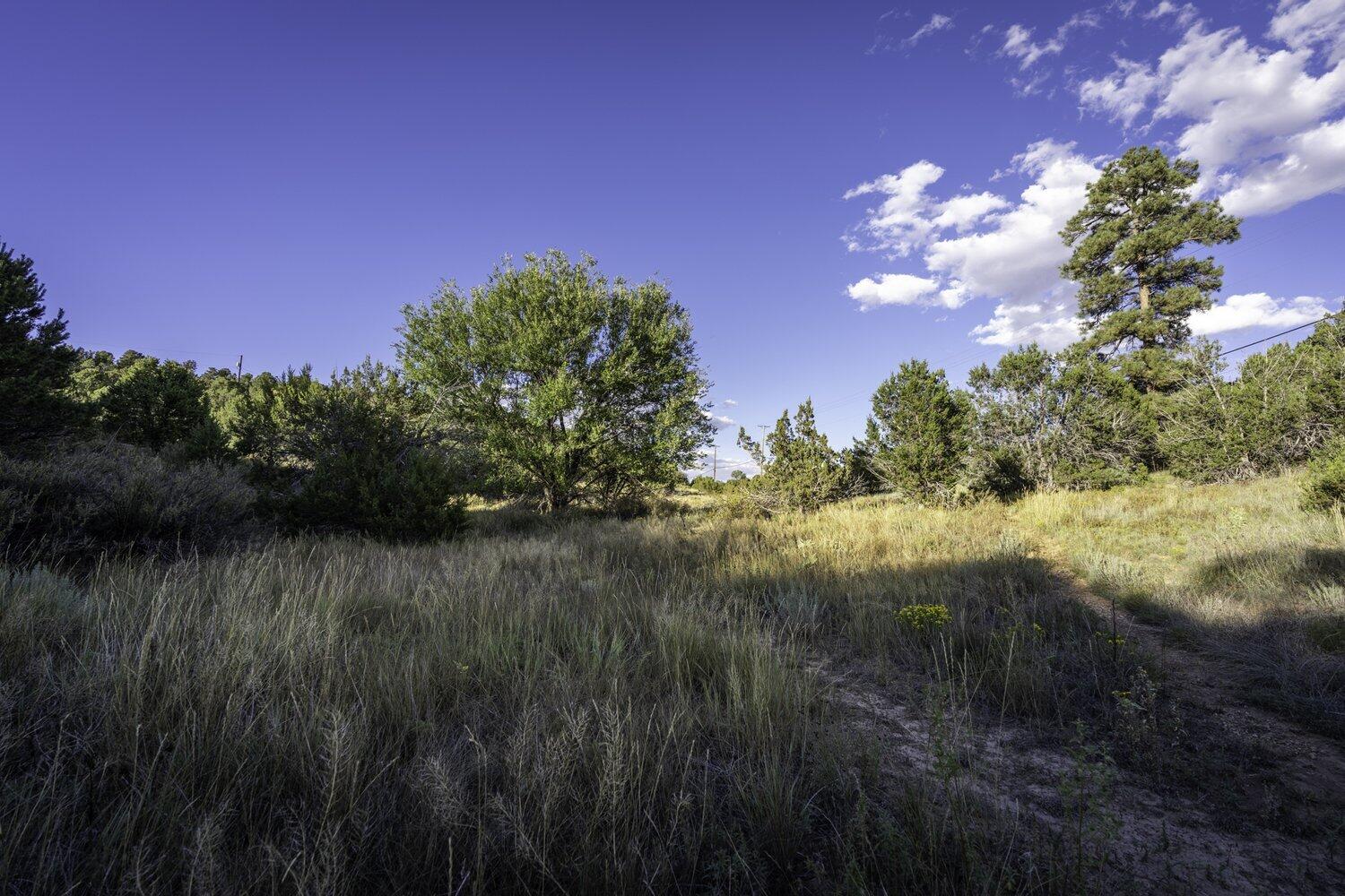 28 Quail Run Road