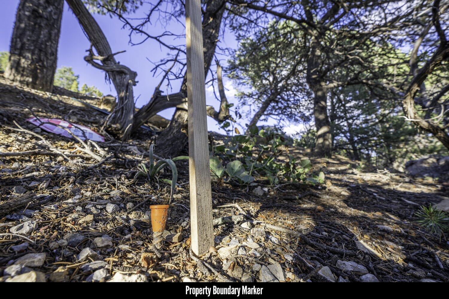 28 Quail Run Road