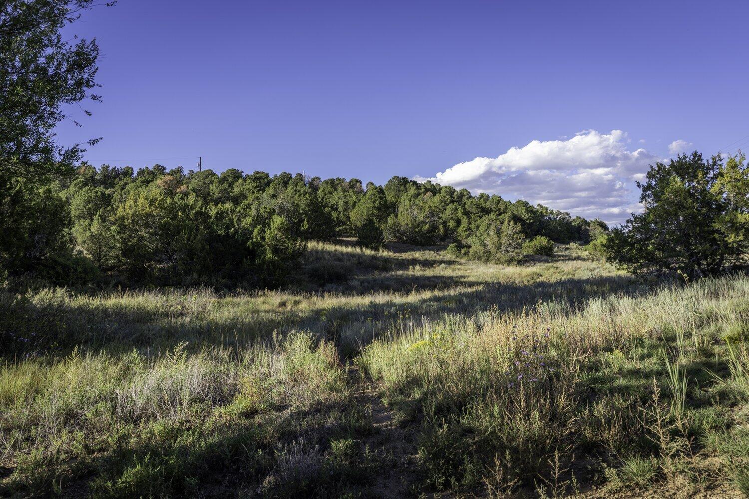 28 Quail Run Road