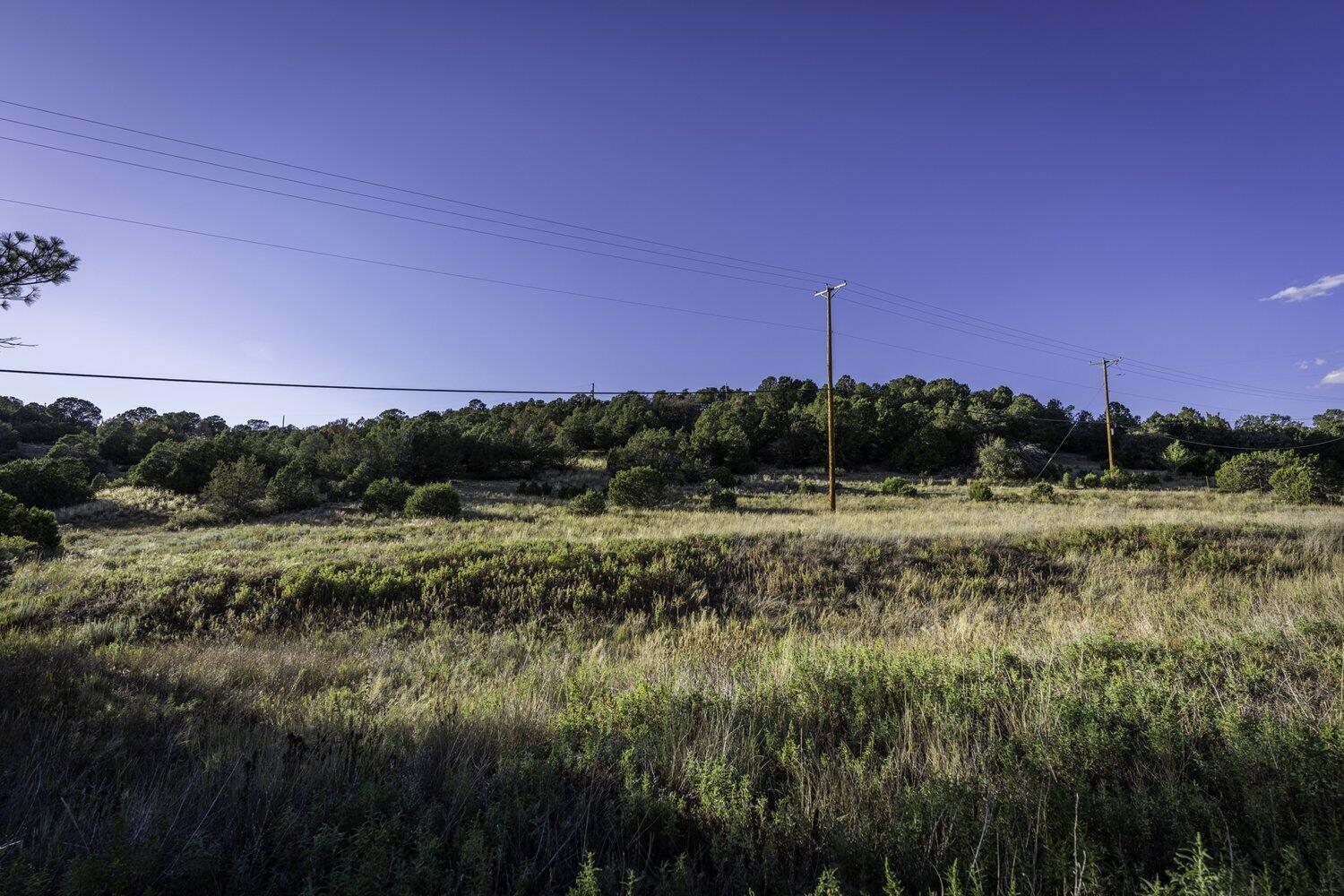 28 Quail Run Road