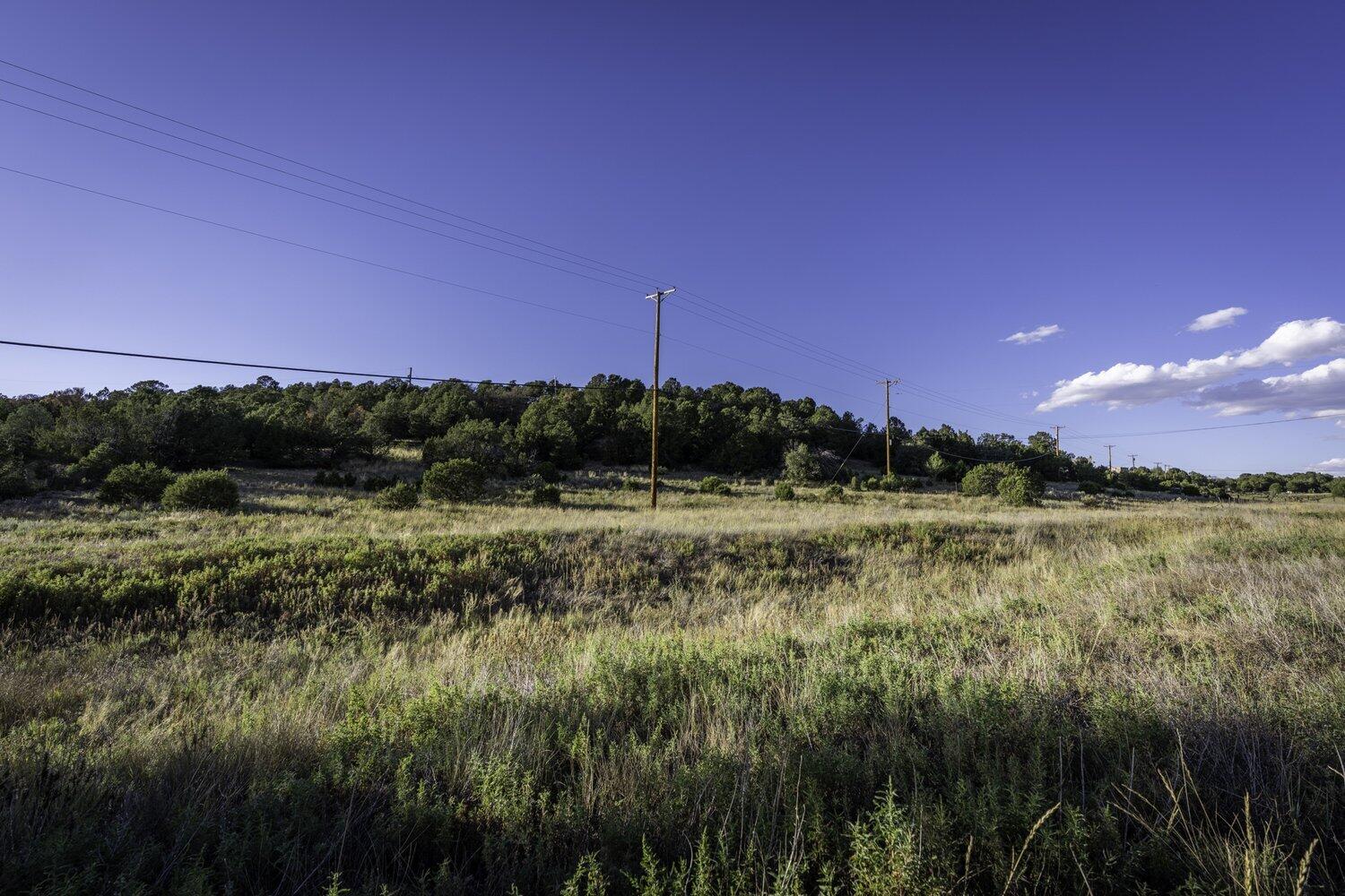 28 Quail Run Road
