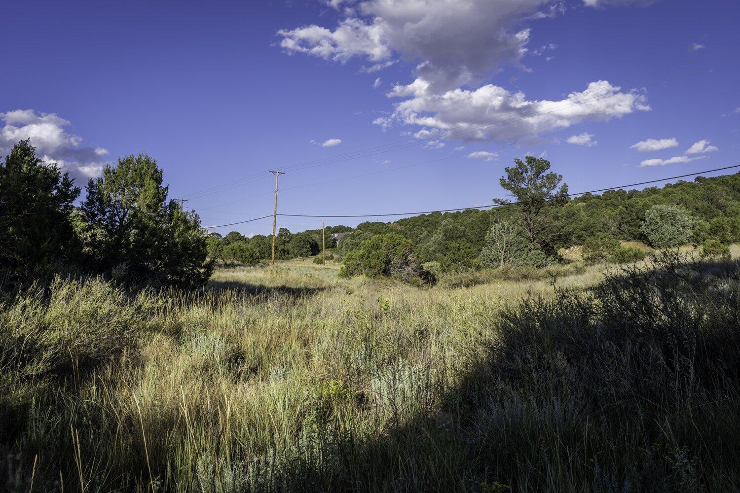 28 Quail Run Road
