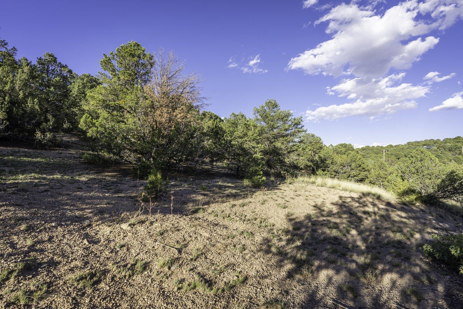 28 Quail Run Road