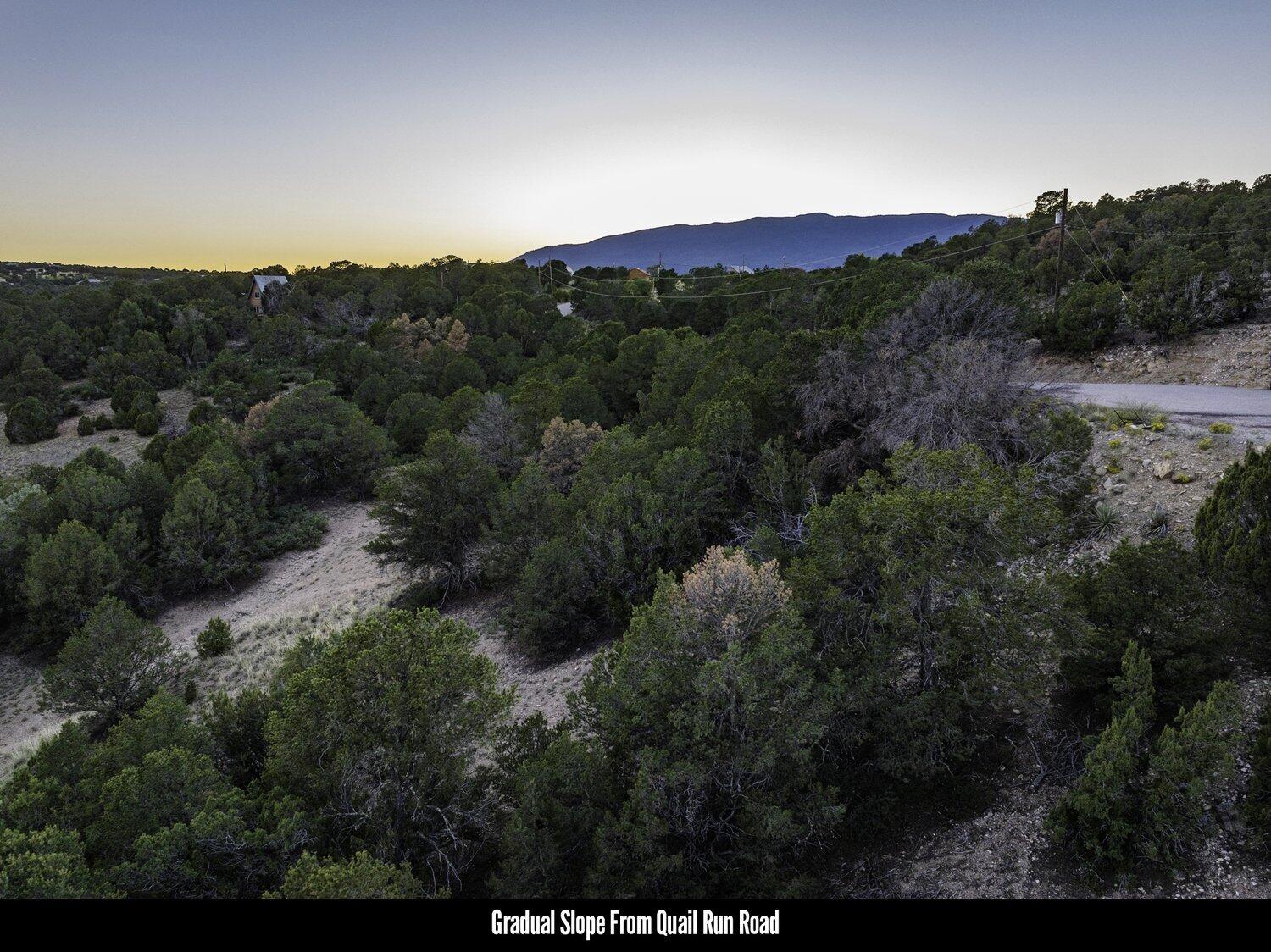 28 Quail Run Road