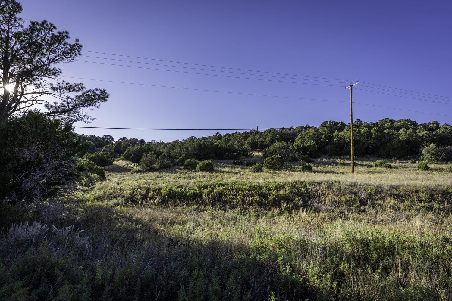 28 Quail Run Road