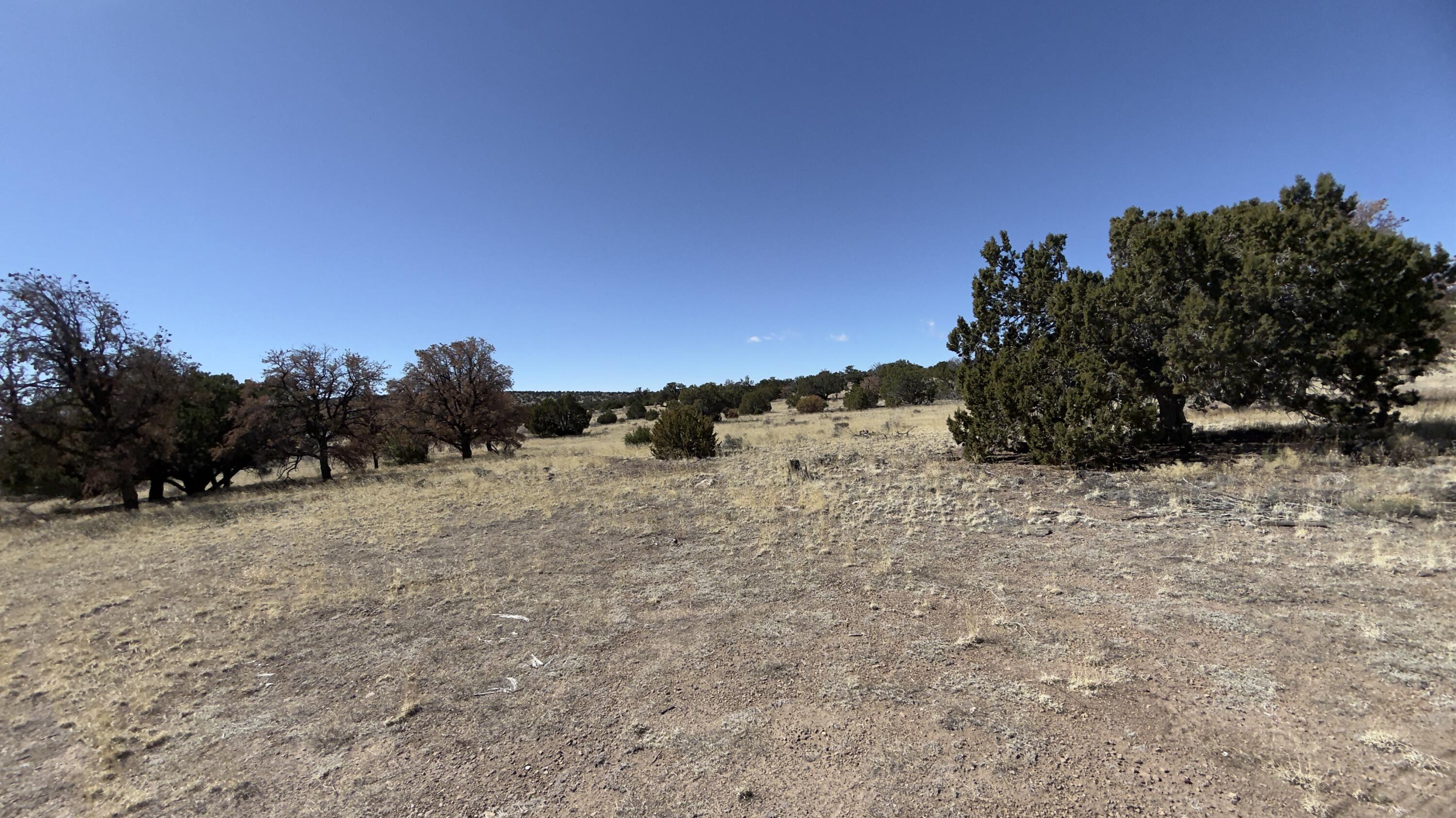21 Wildwood Loop