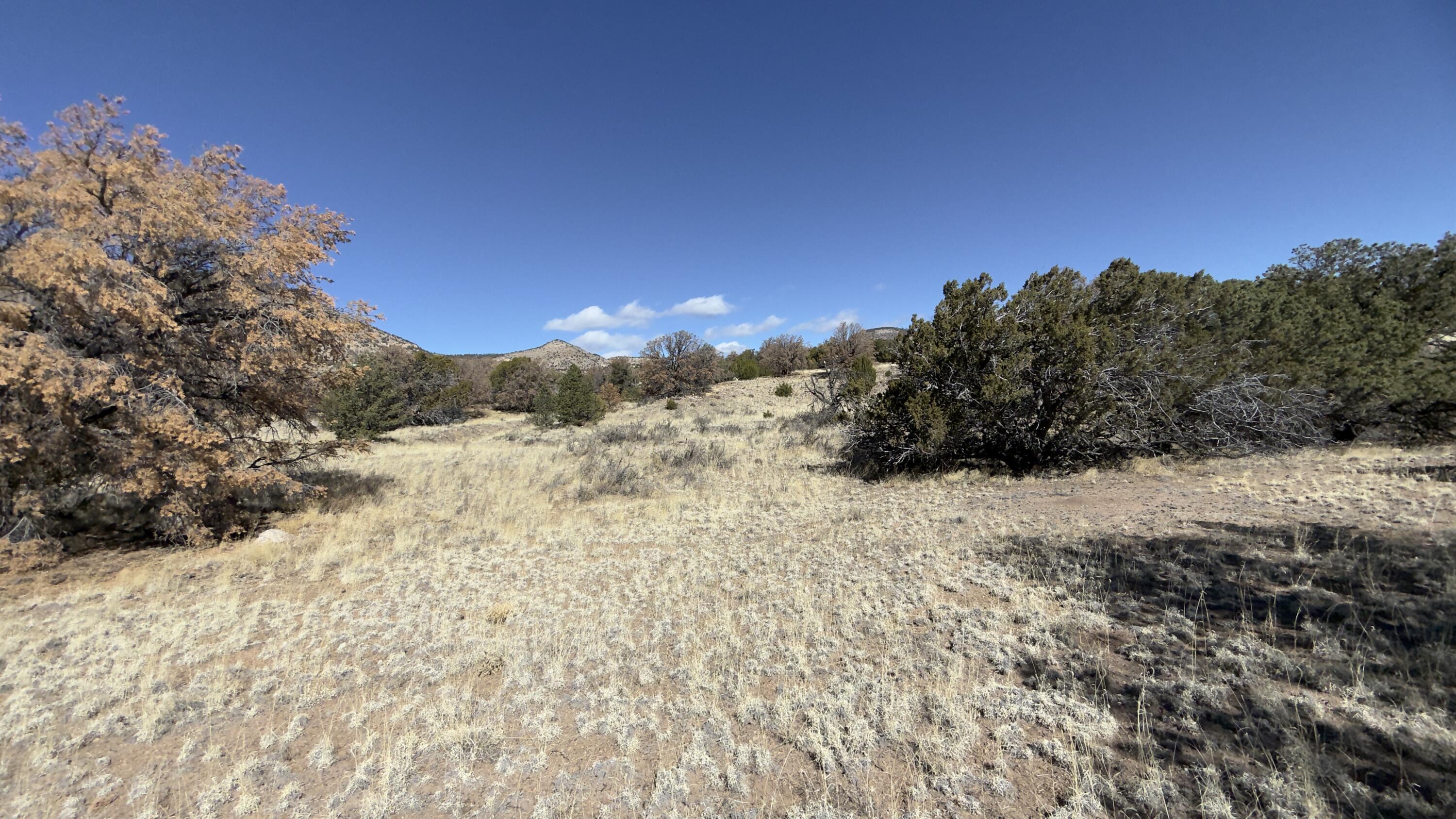 21 Wildwood Loop