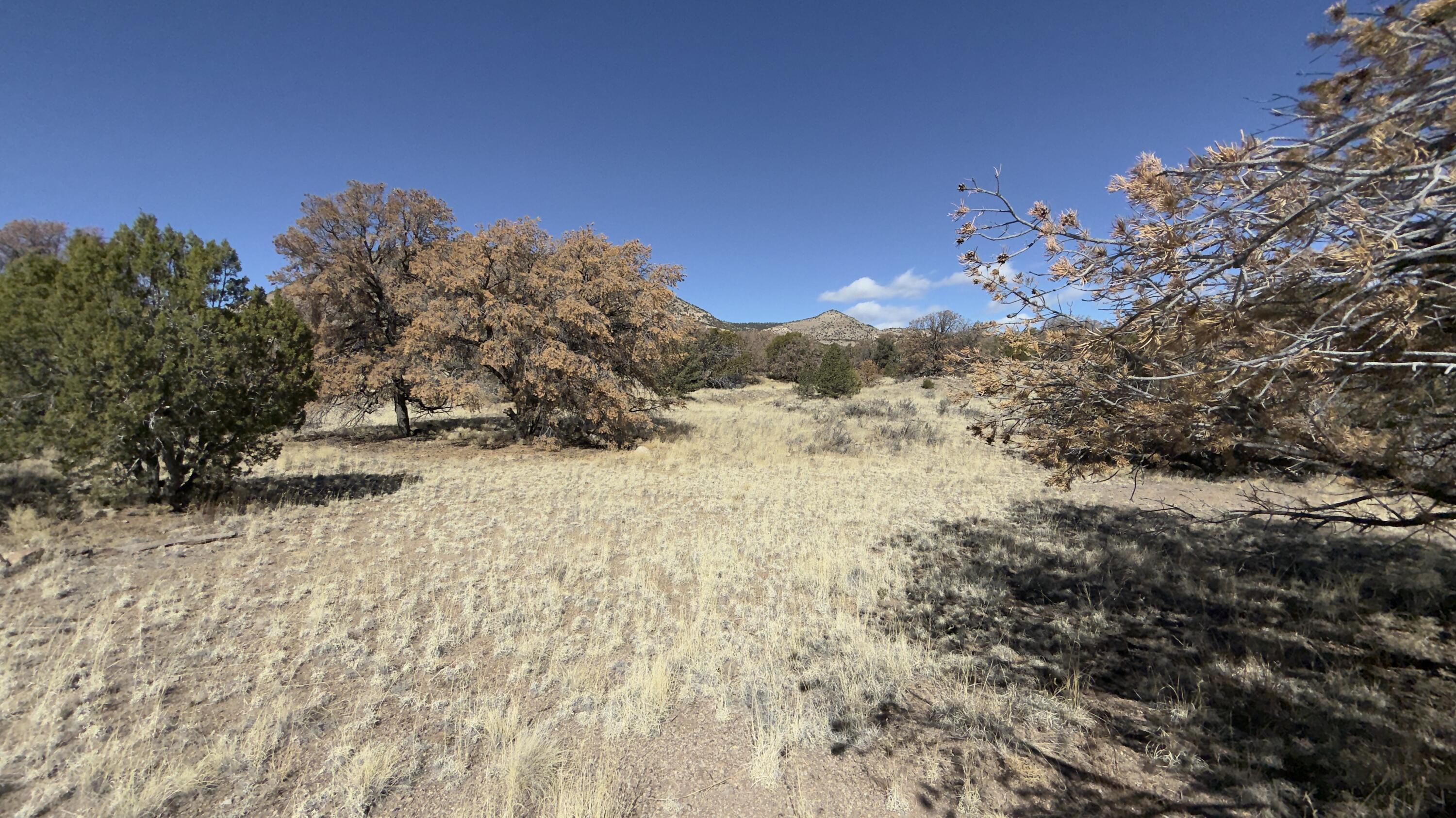 21 Wildwood Loop