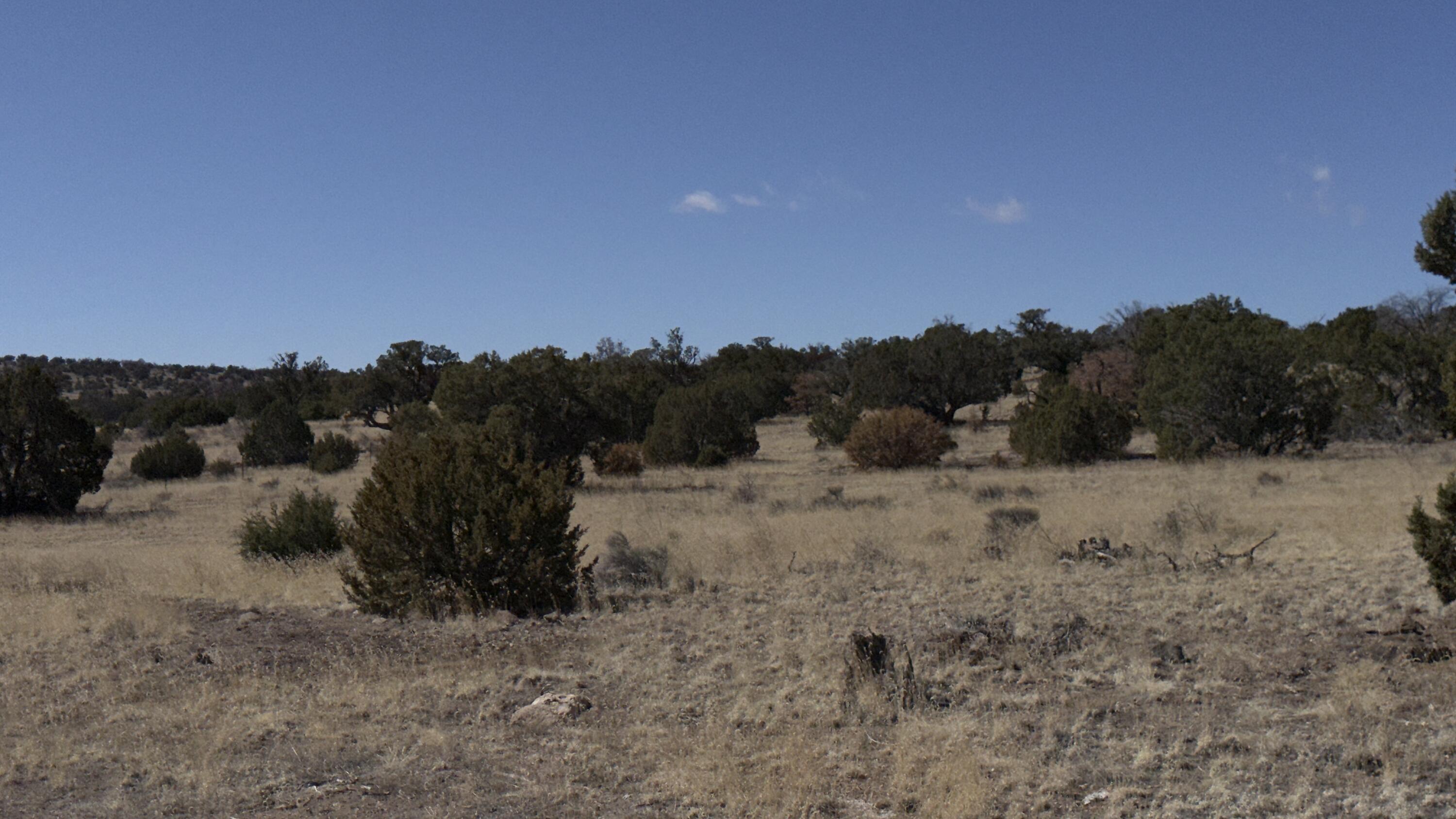 21 Wildwood Loop
