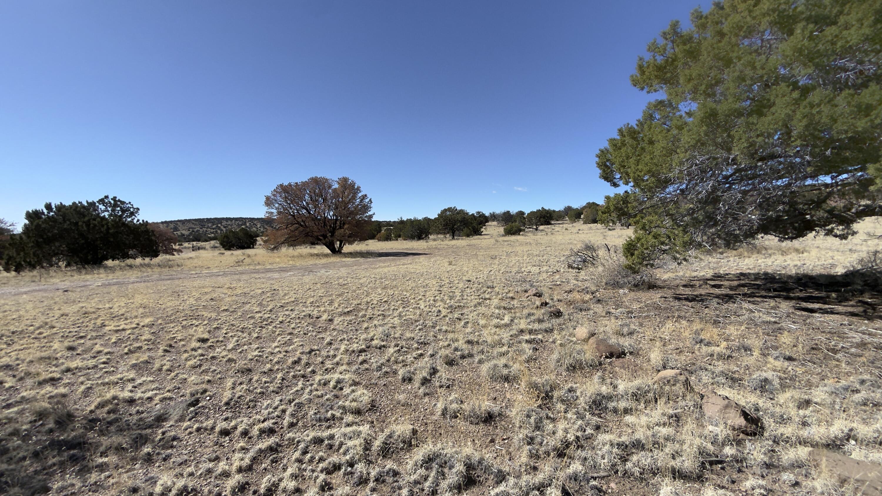 21 Wildwood Loop