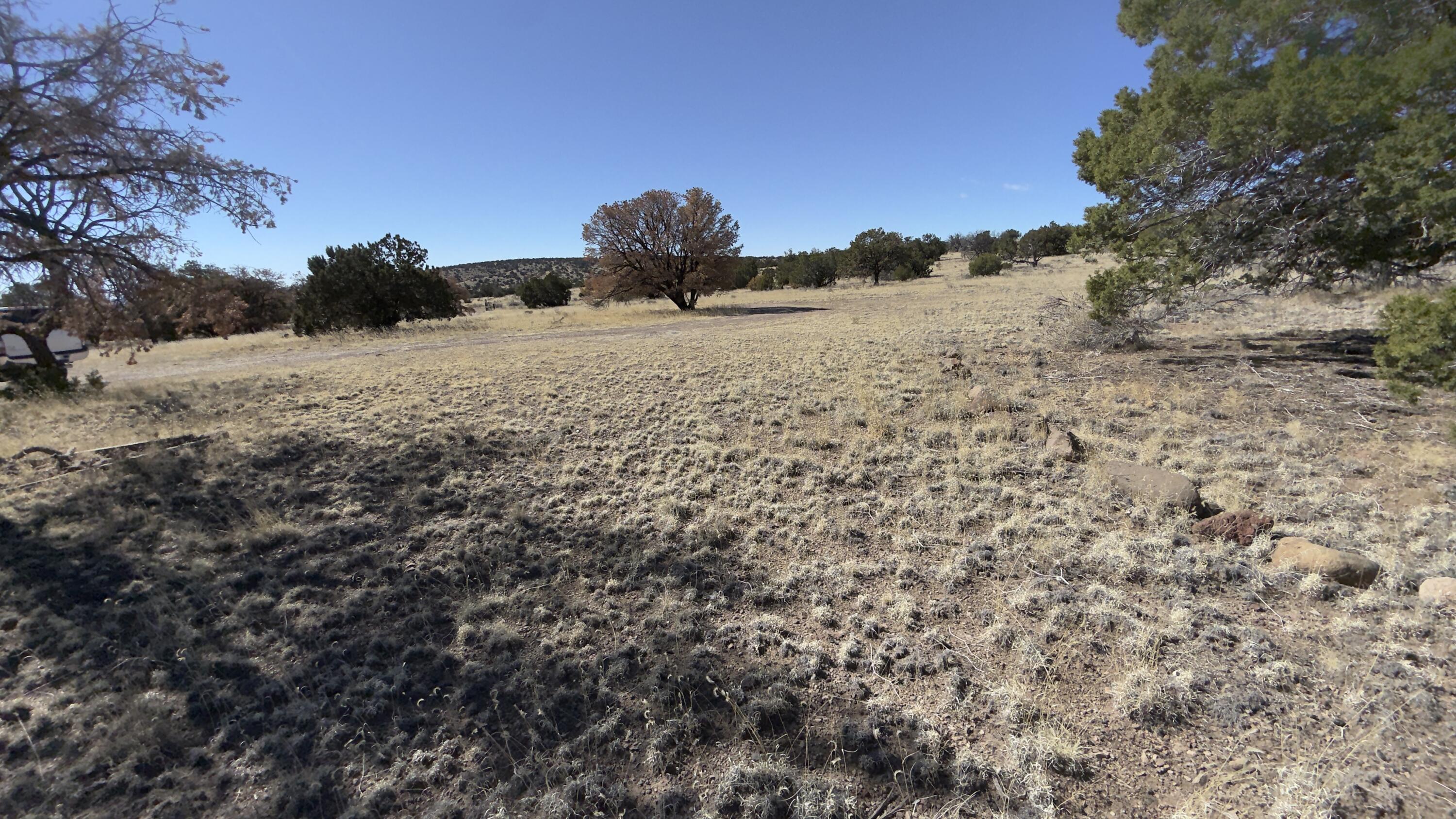 21 Wildwood Loop