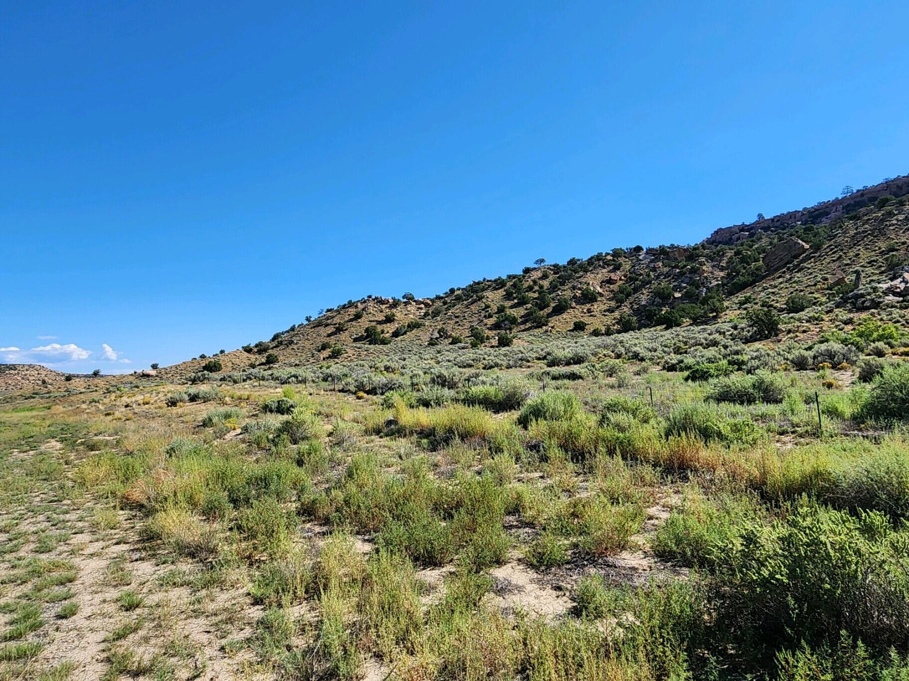 60 ac on Navajo Route 7140