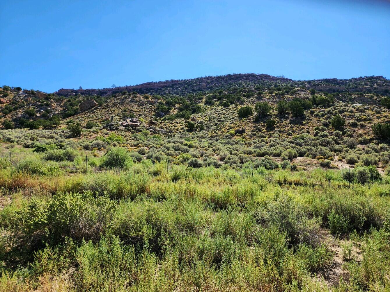60 ac on Navajo Route 7140
