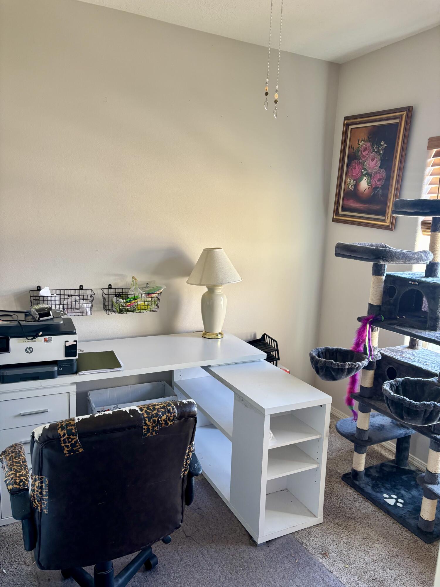 308 Sunrise Bluffs Drive