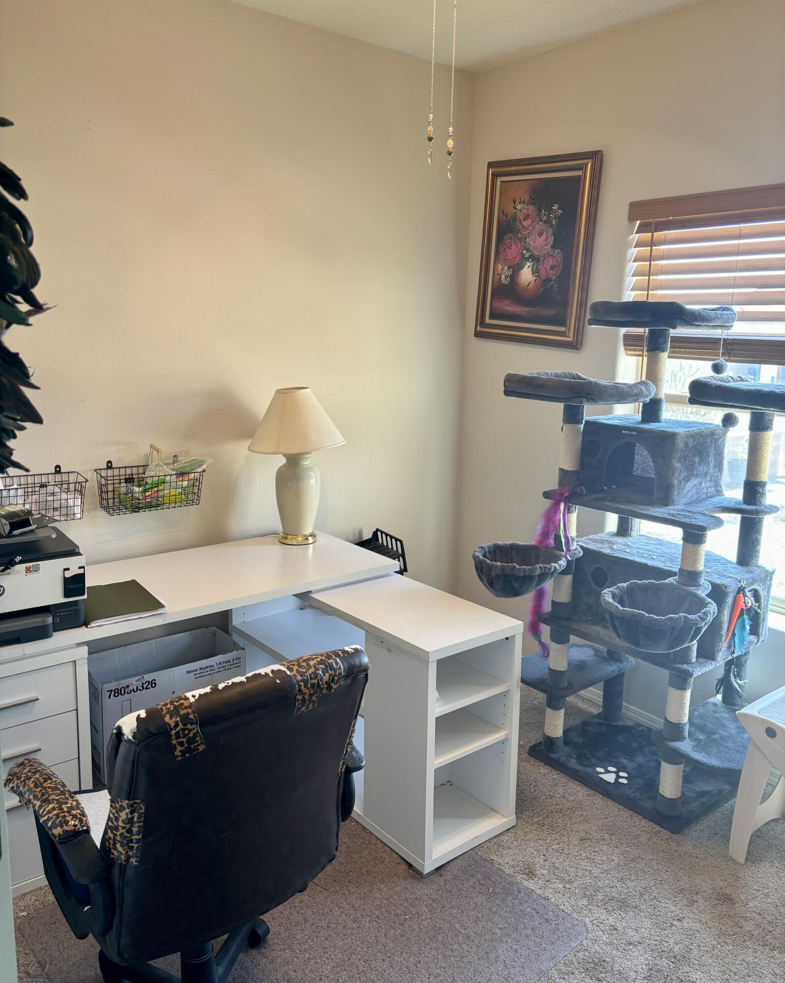 308 Sunrise Bluffs Drive