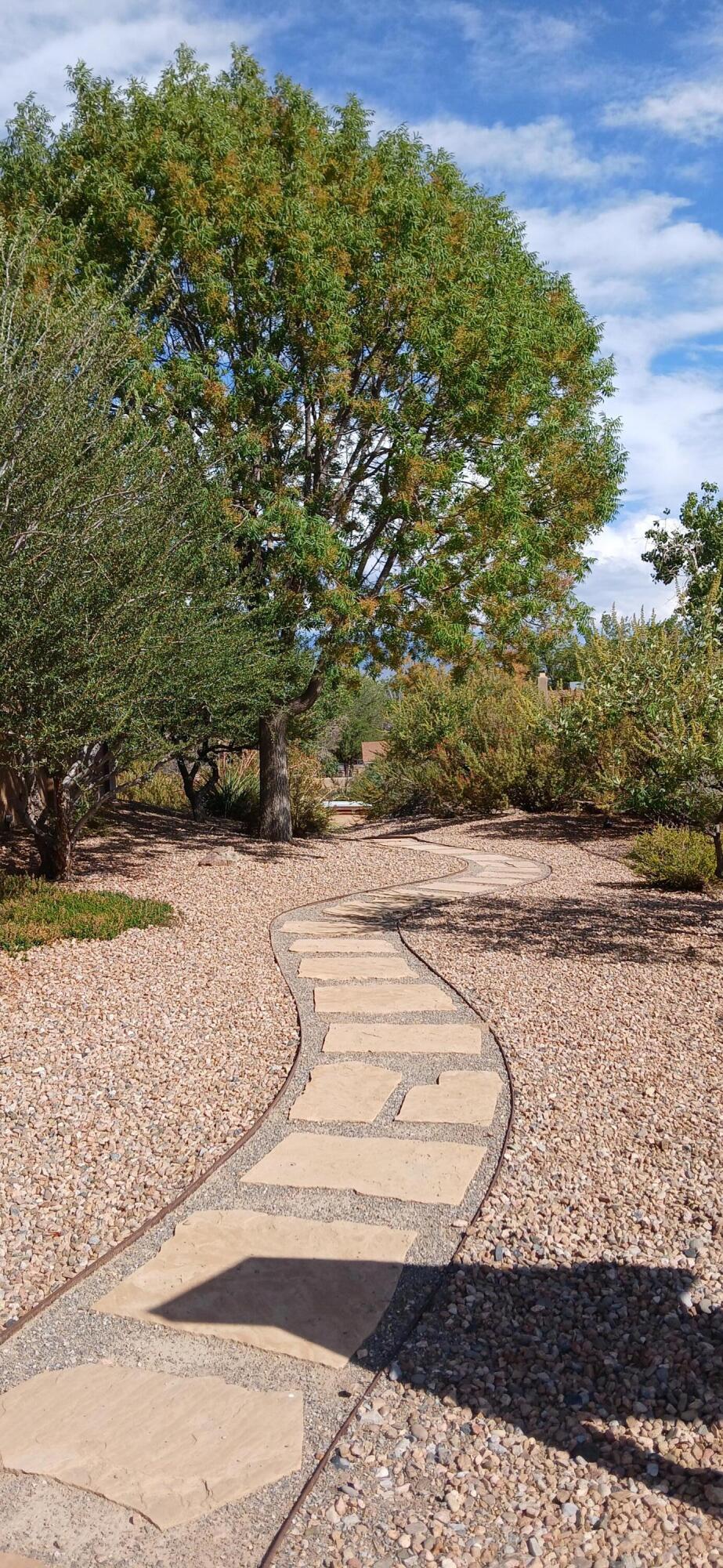 2 Sandia Trail 2