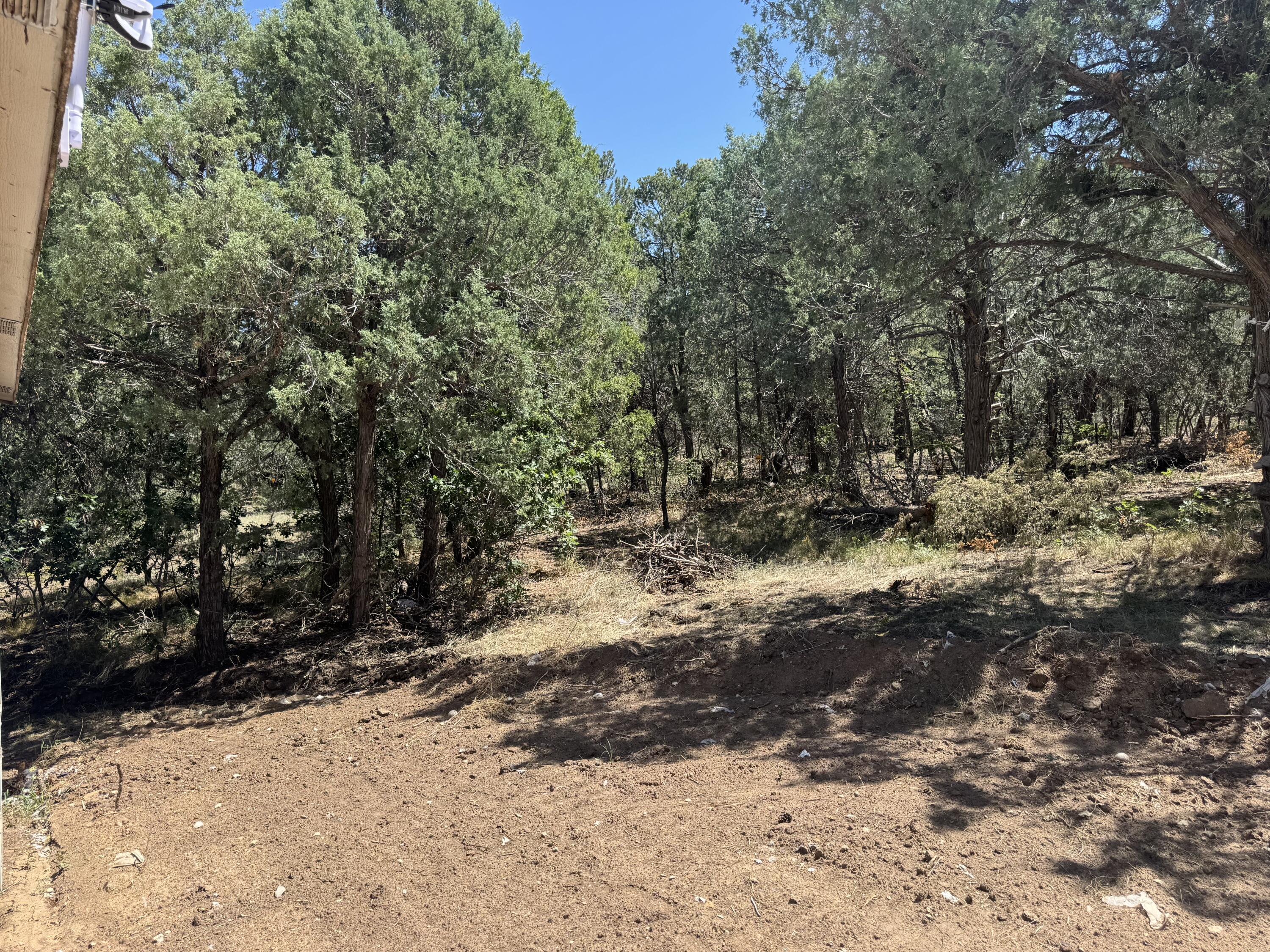 10550 NM 337