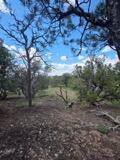 3 Deer Run Trail