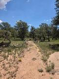 3 Deer Run Trail