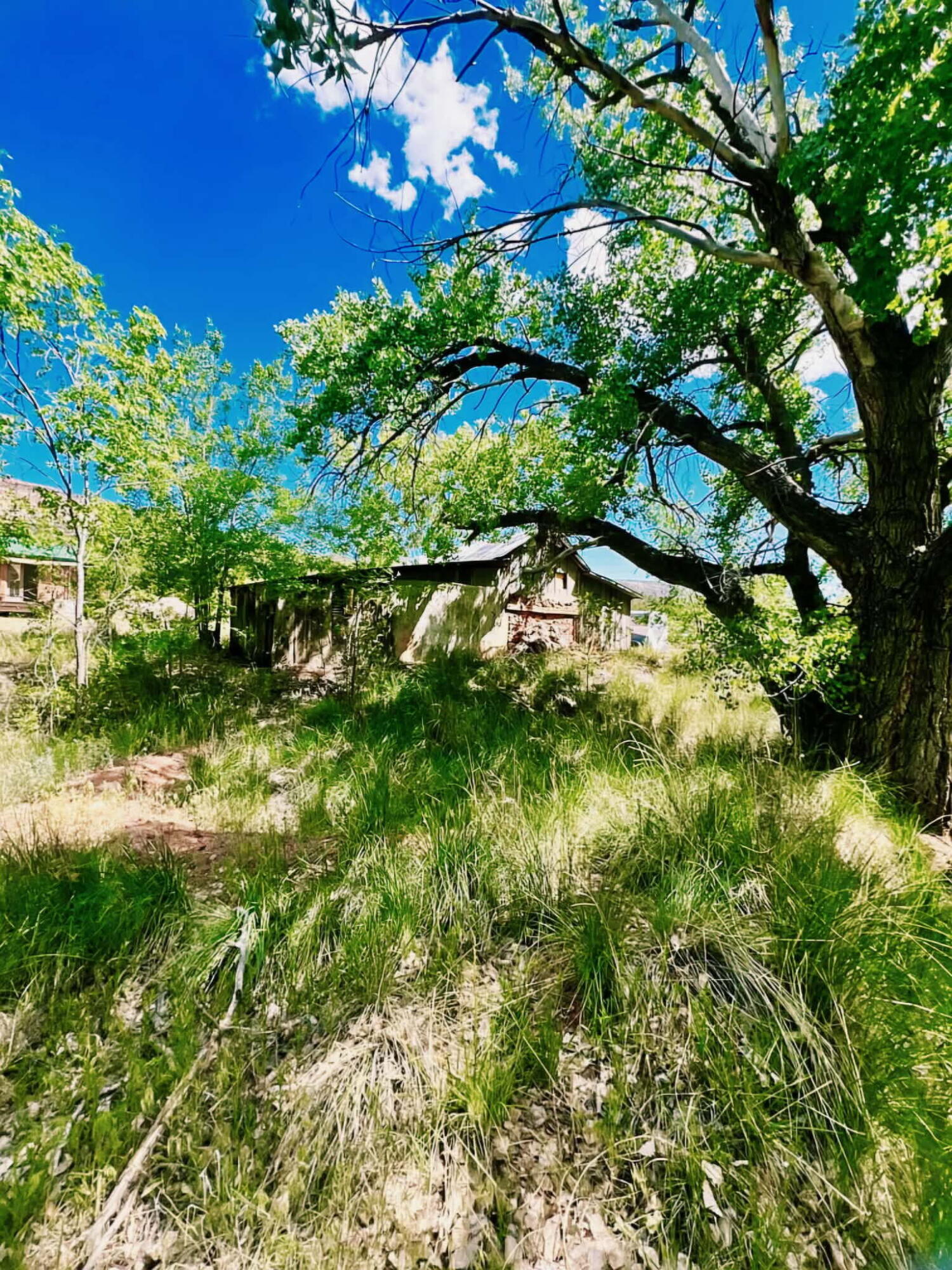 16443 Highway 4
