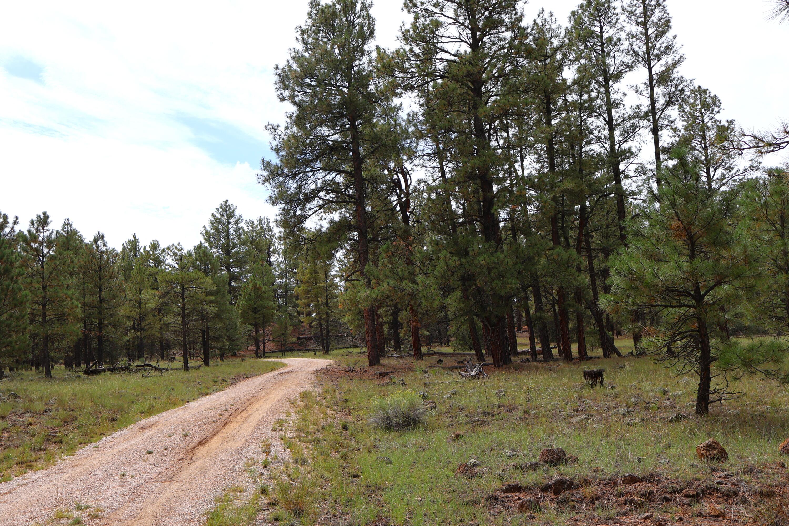 Lot 44 Rhyolite Road Lot 44