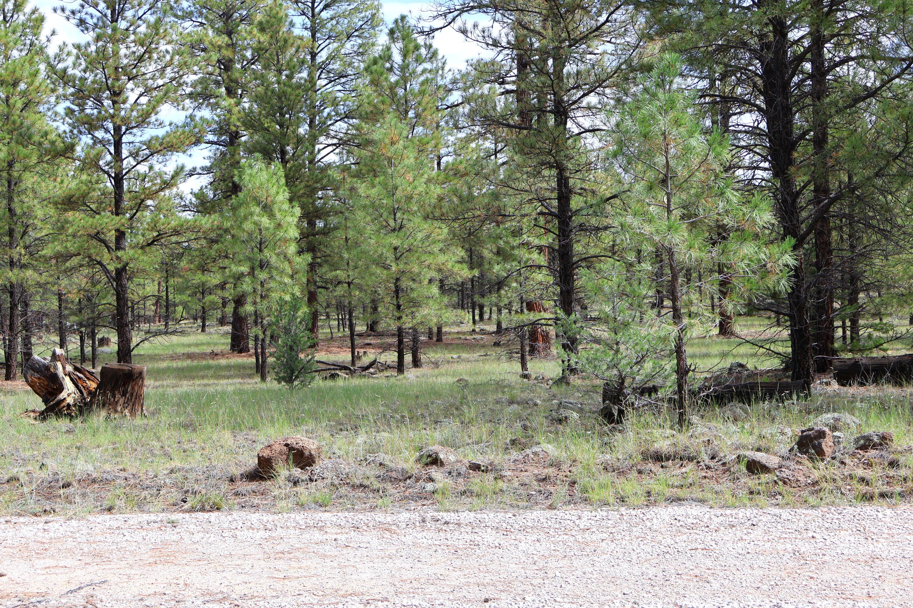 Lot 44 Rhyolite Road Lot 44